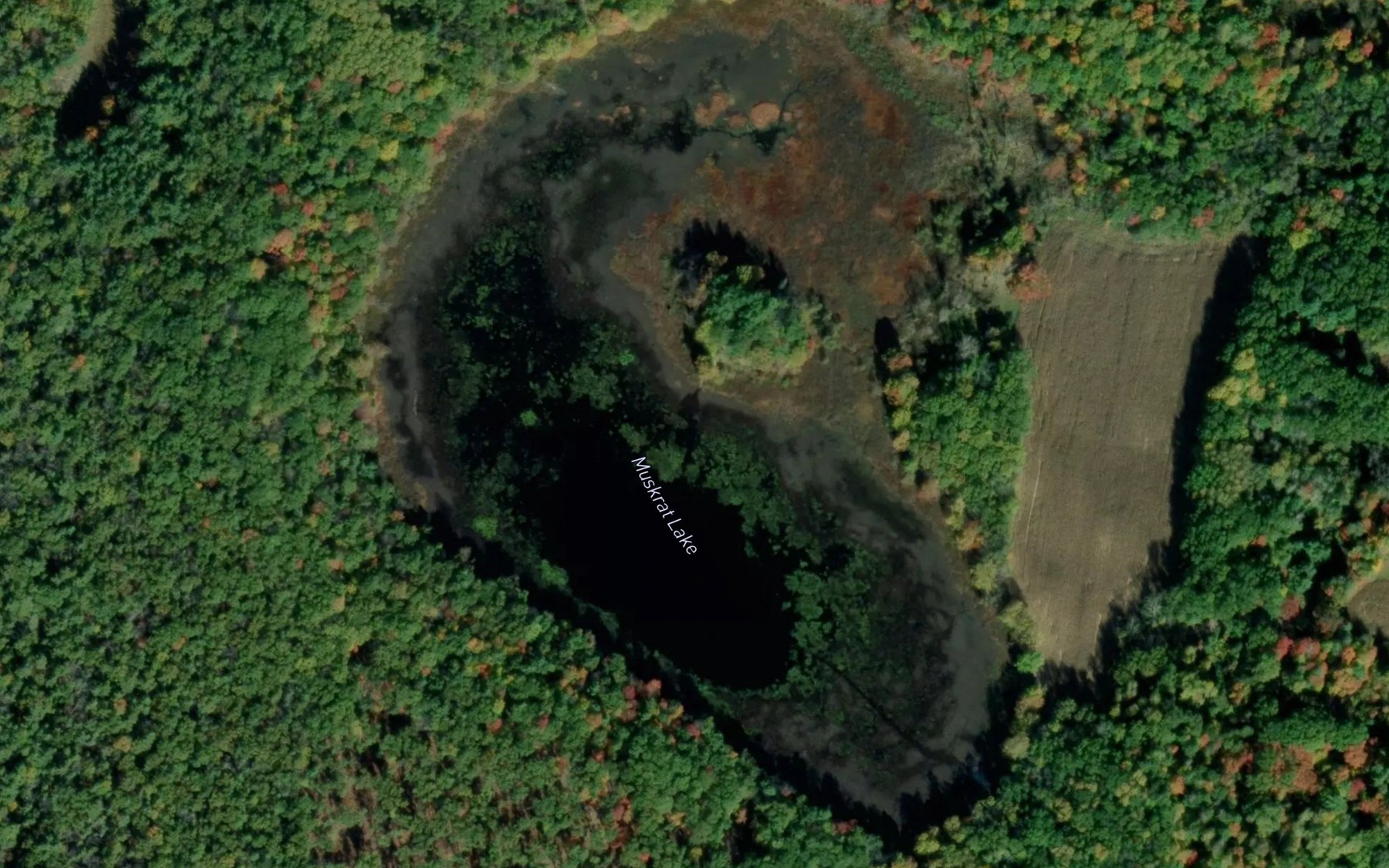 Satellite map of the Muskrat Lake