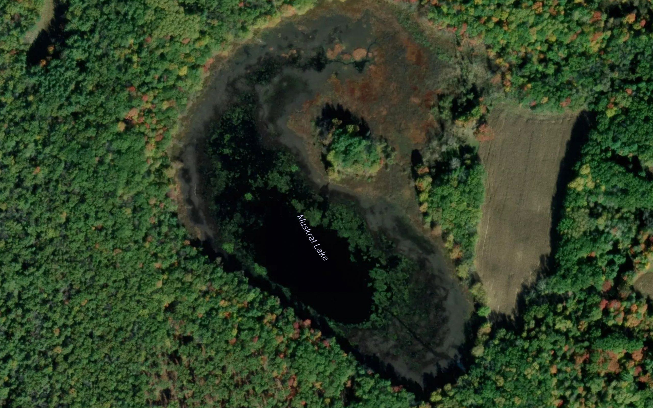 Muskrat Lake