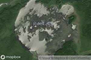 Rice Lake