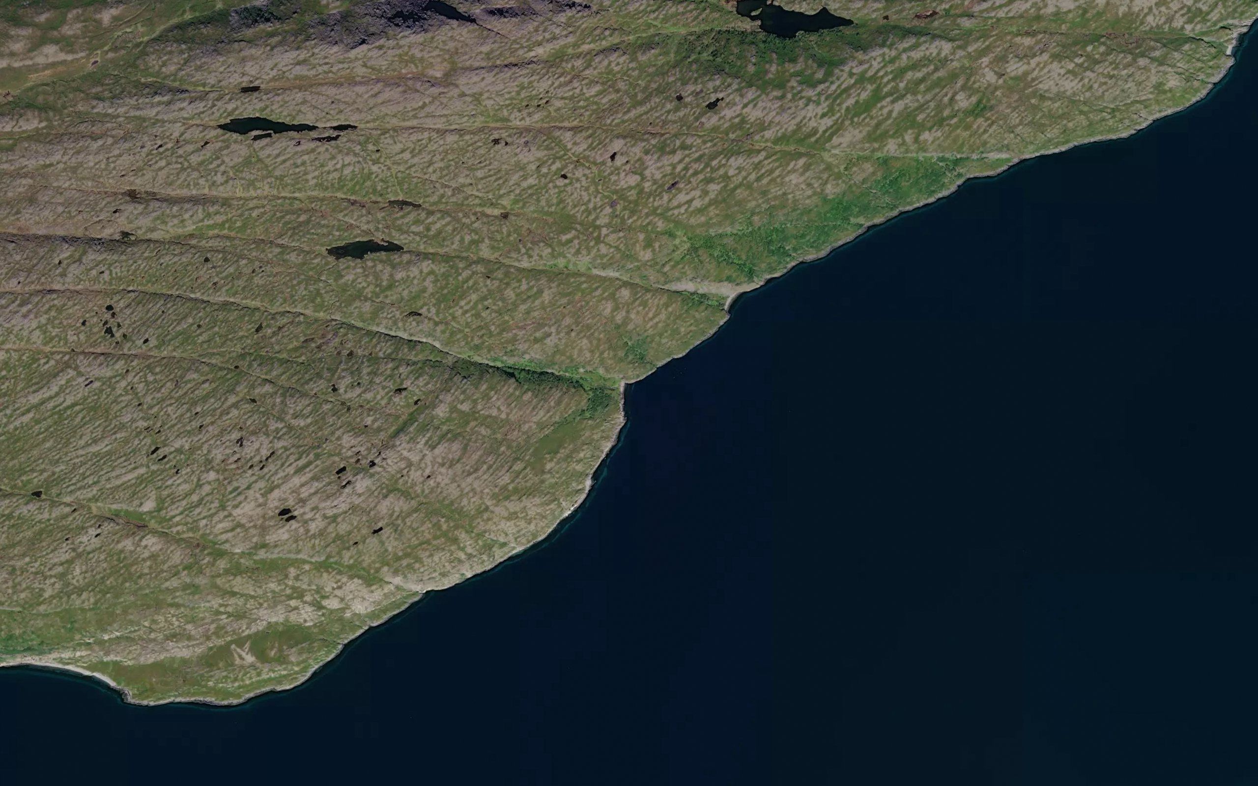 Seivika,in