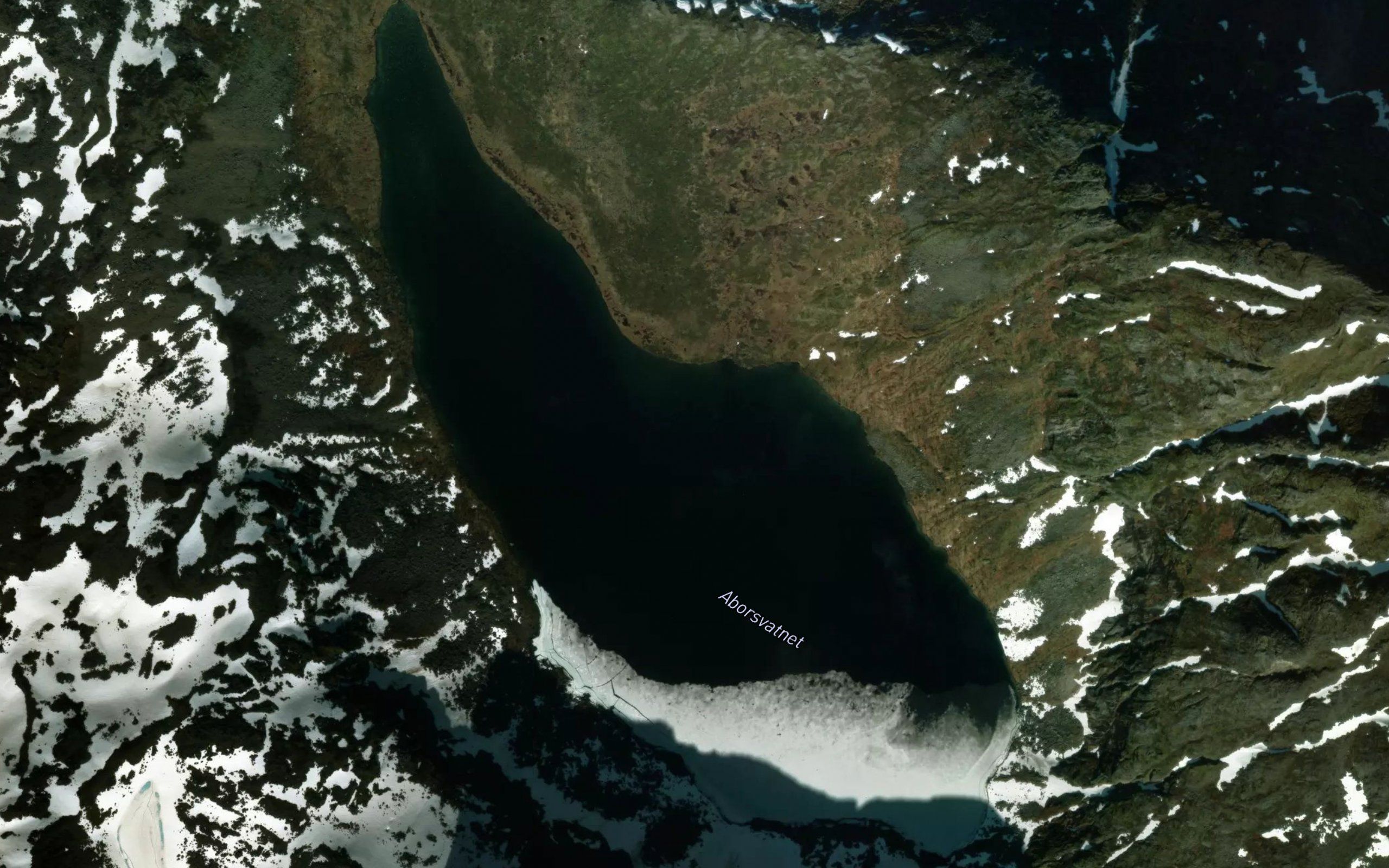 Aborsvatnet