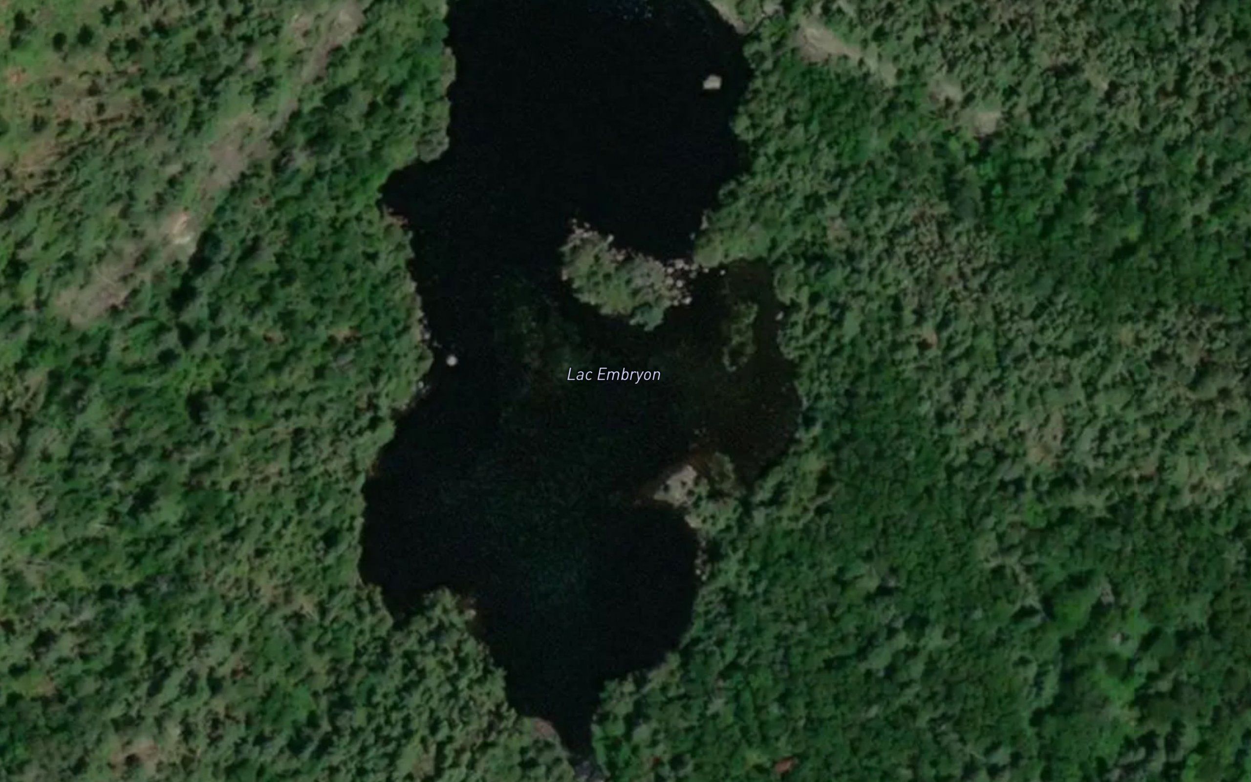 Lac Embryon
