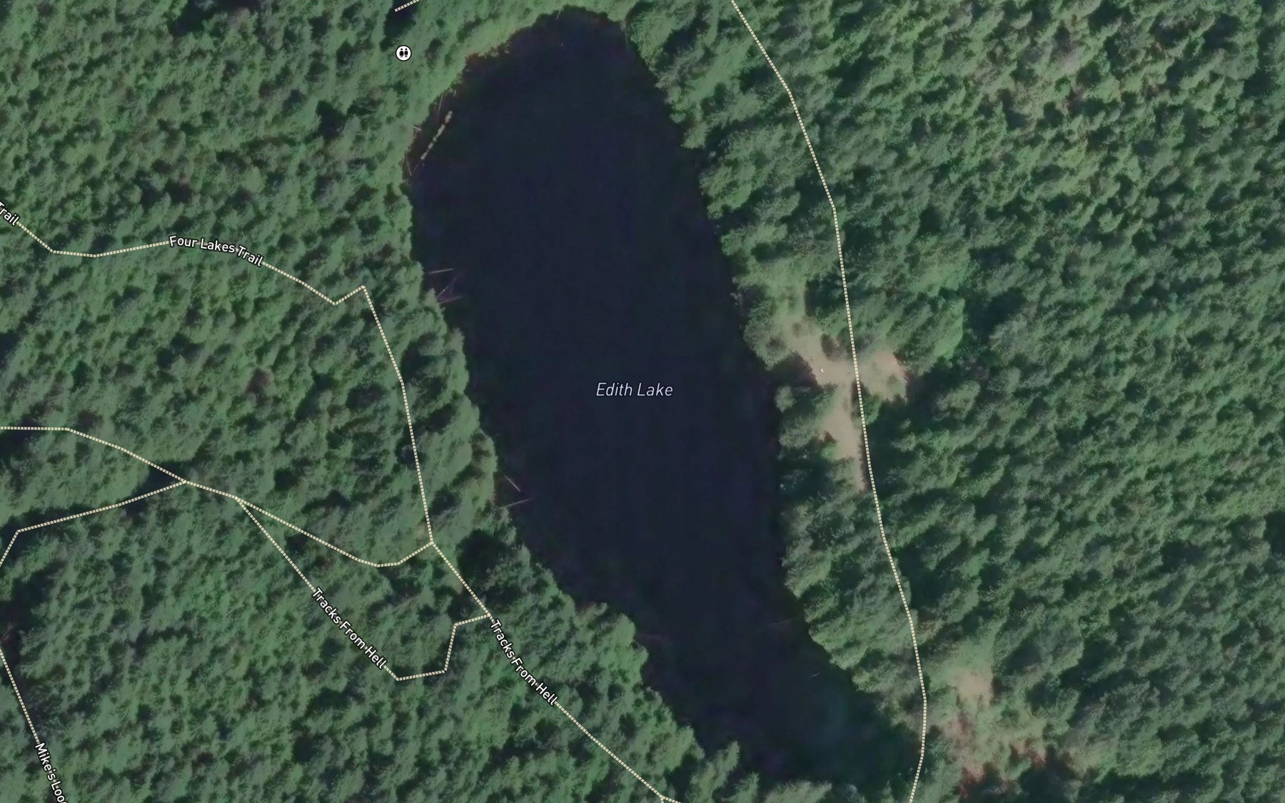 Satellite map of the Edith Lake