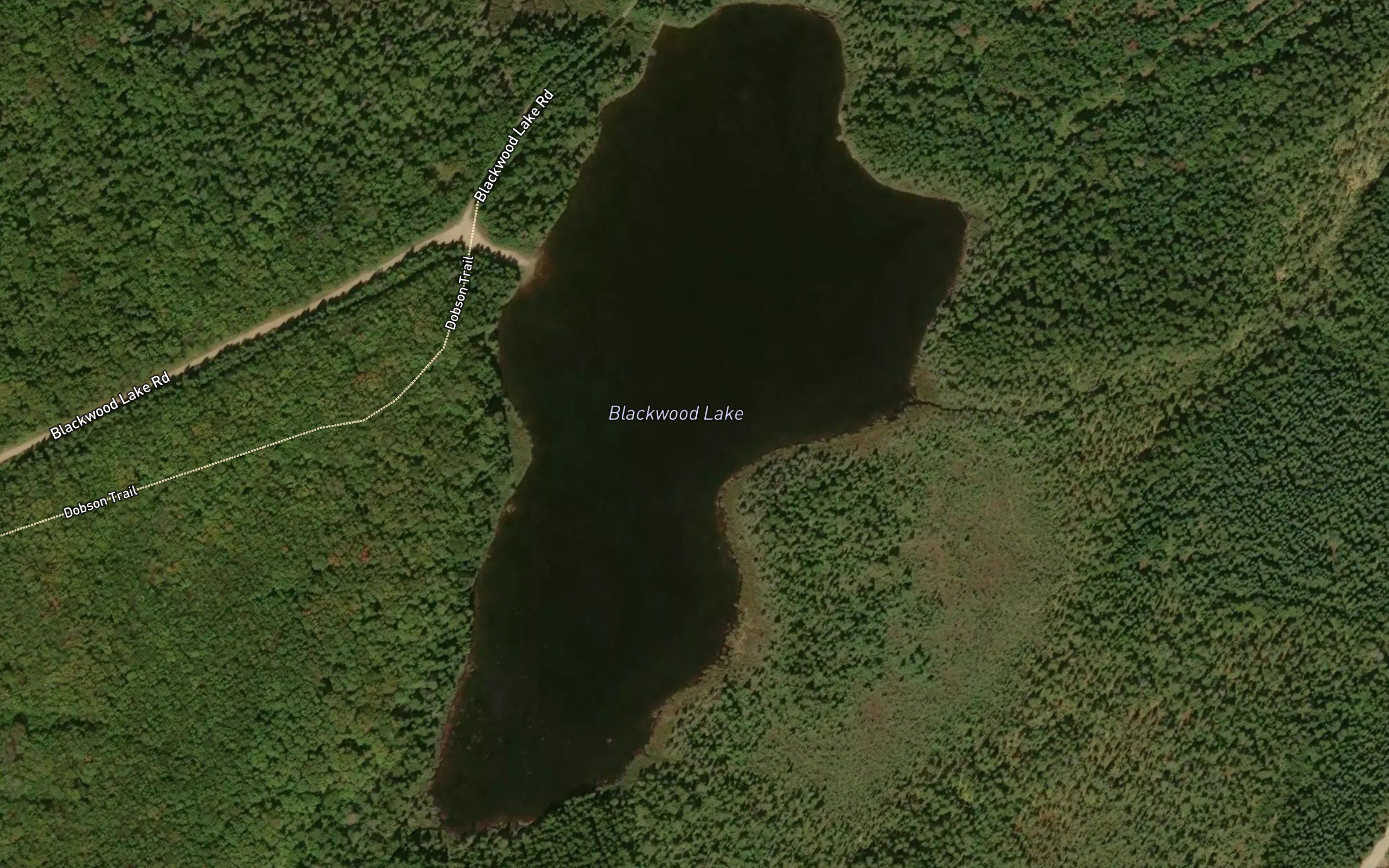 Blackwood Lake