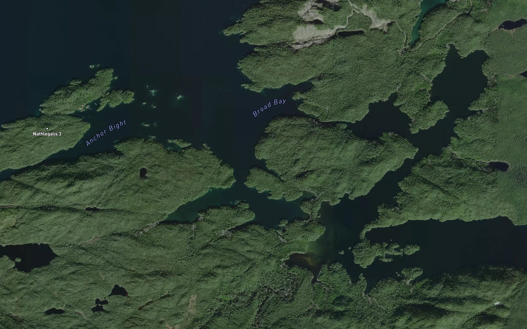 Satellite map of the Bull Cove