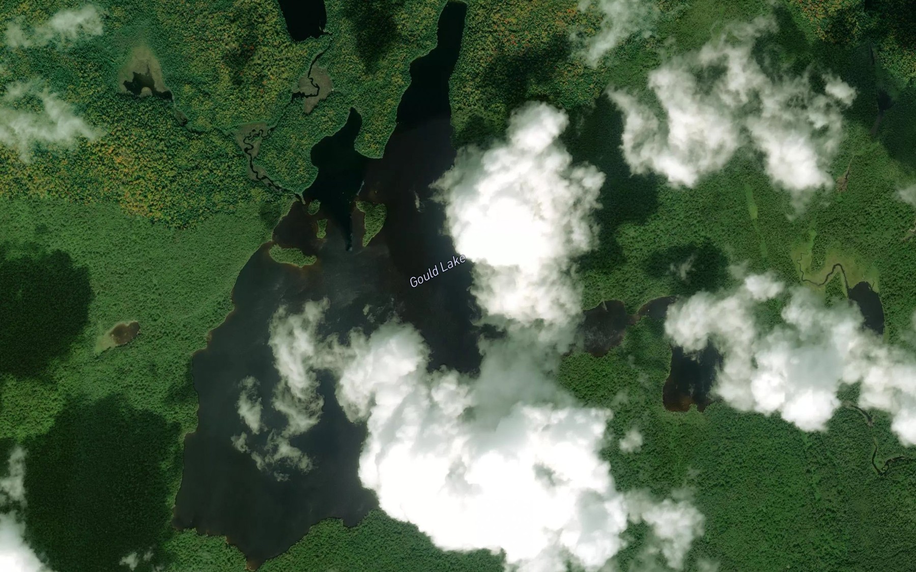 Satellite map of the Gould Lake
