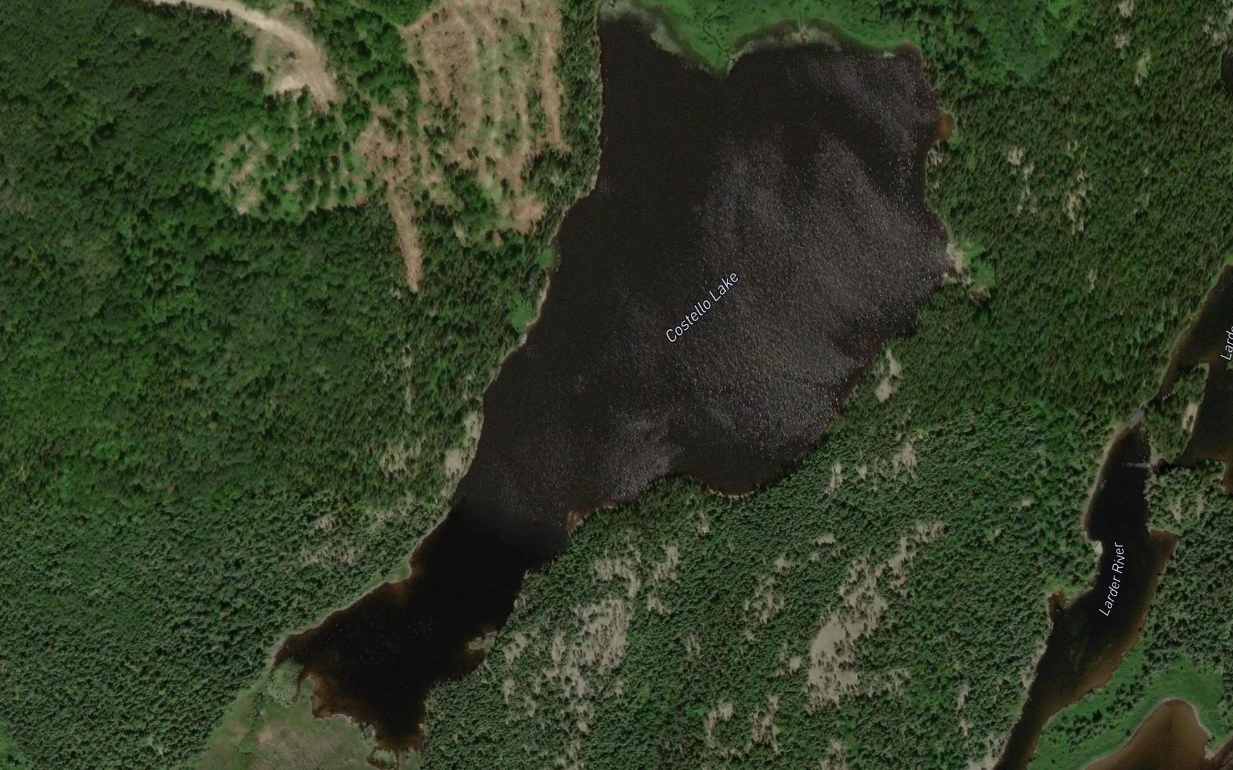 Satellite map of the Costello Lake