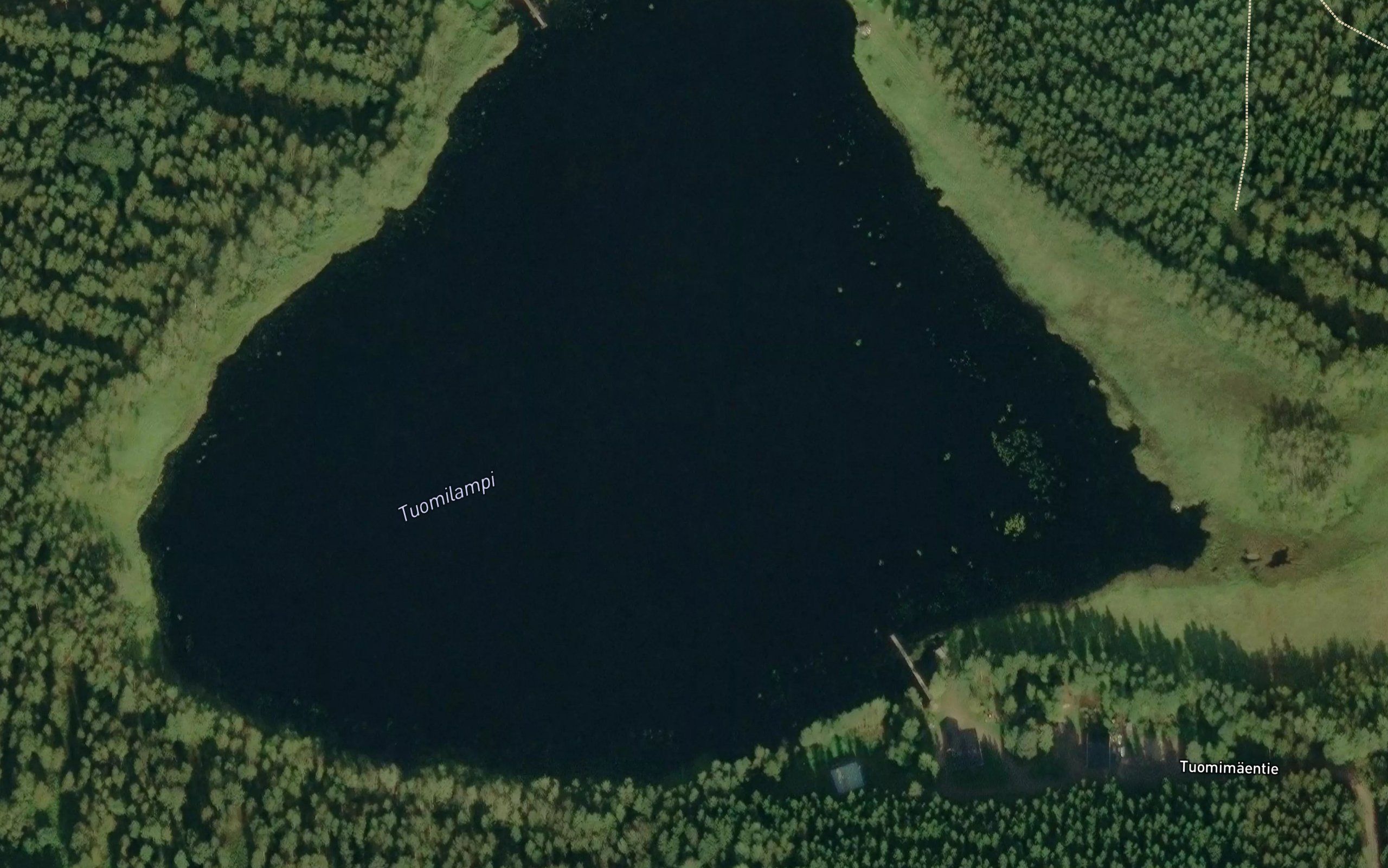 Tuomilampi