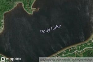 Polly Lake