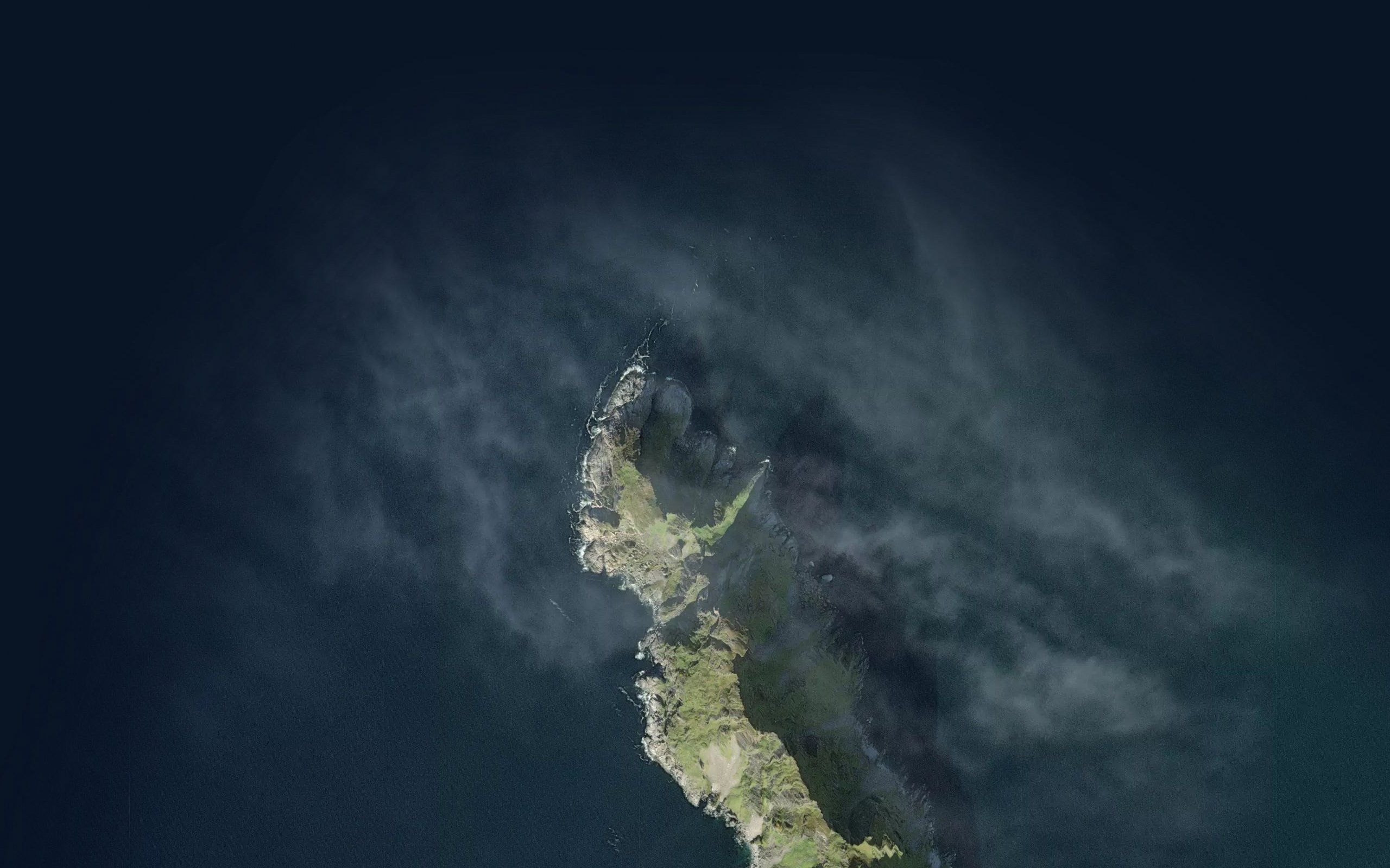 Svinkeila