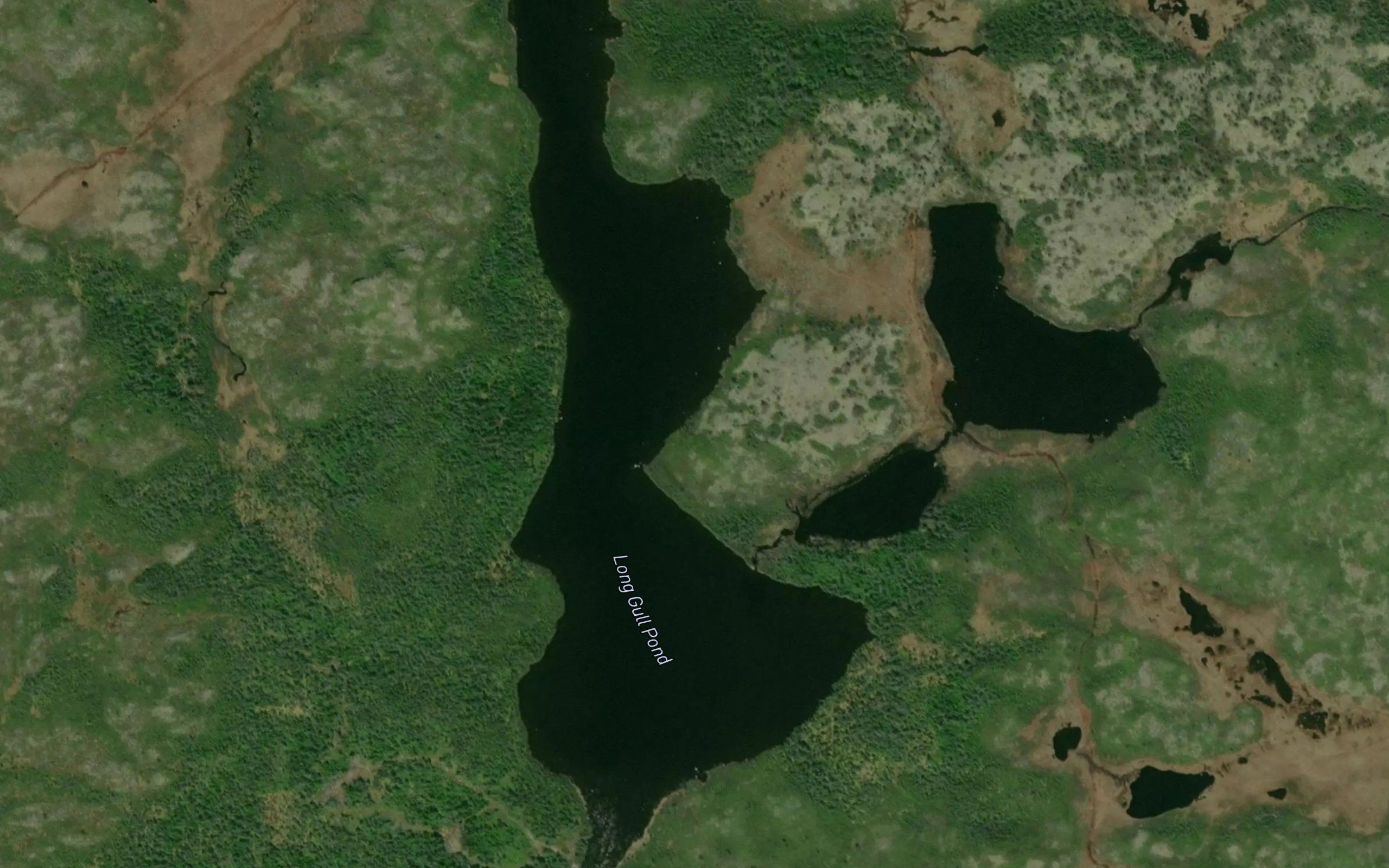 Long Gull Pond