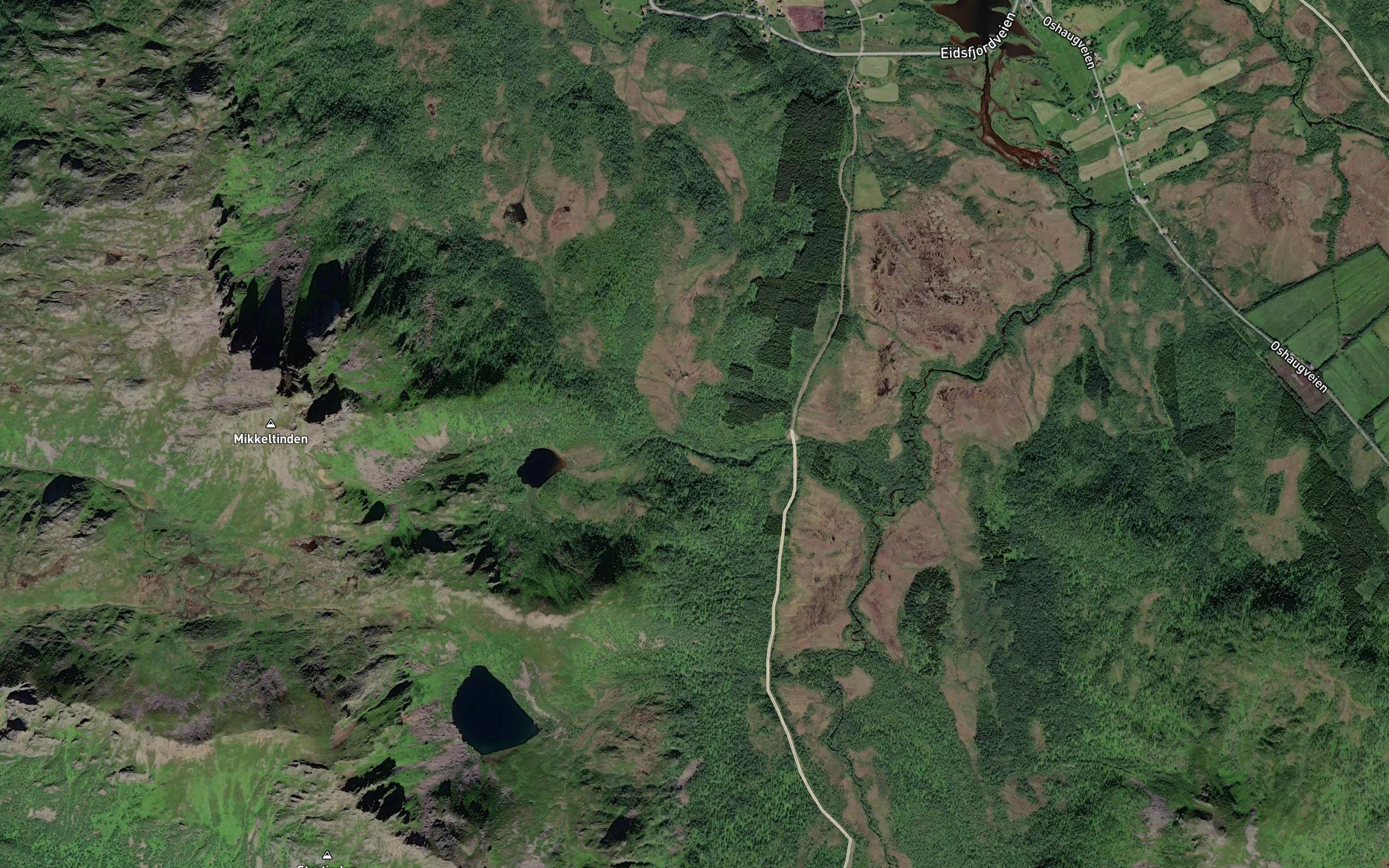 Ladalselva