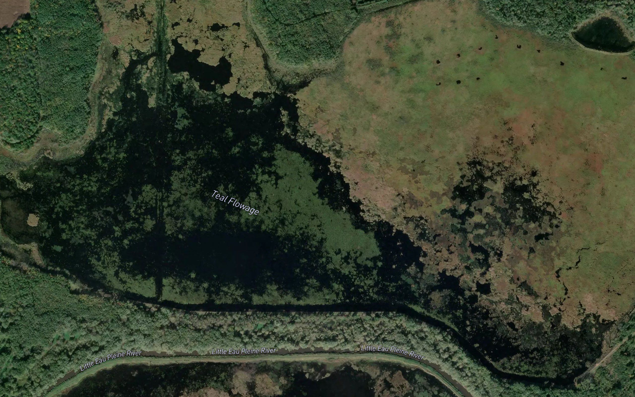 Teal Flowage