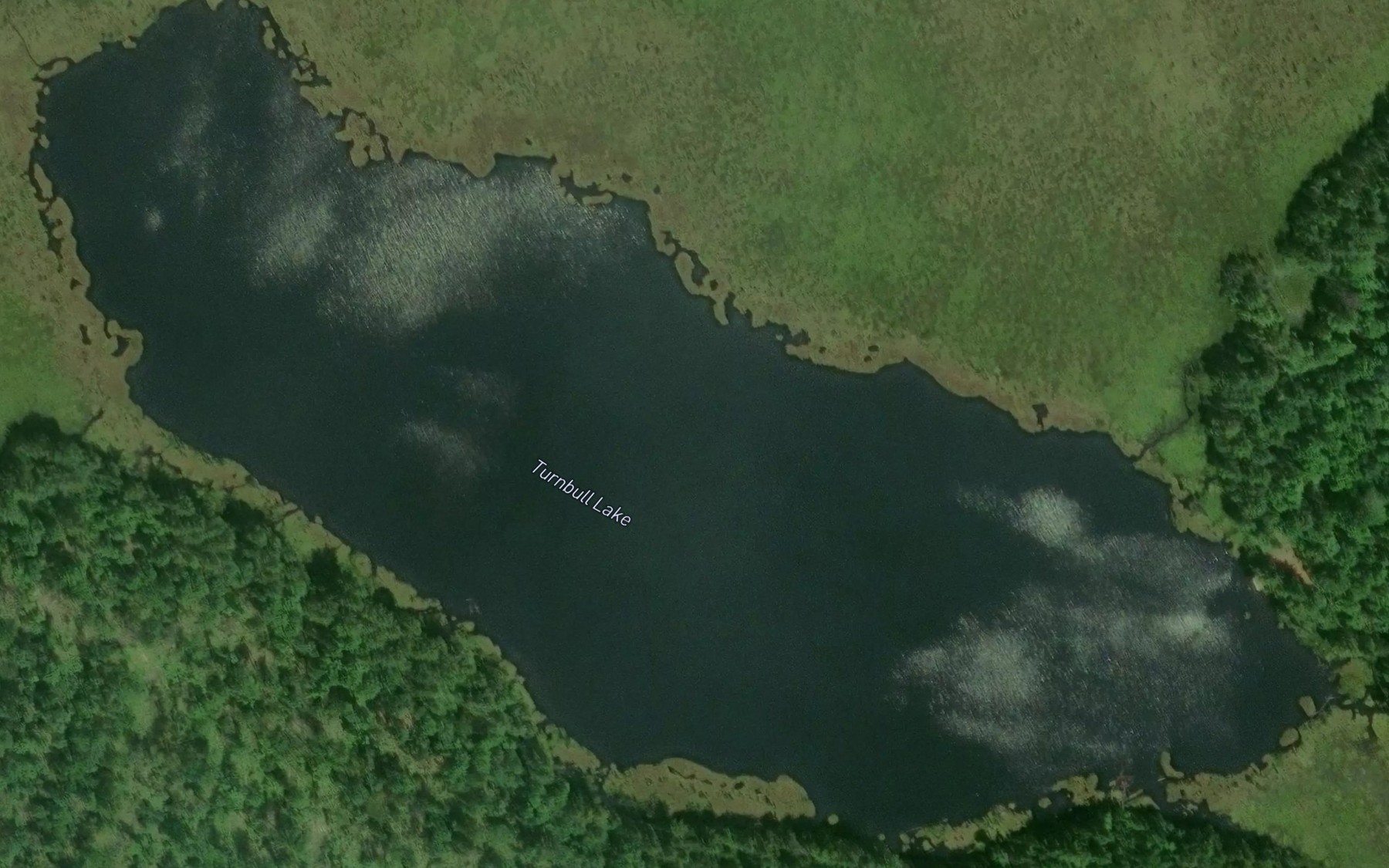 Satellite map of the Turnbull Lake