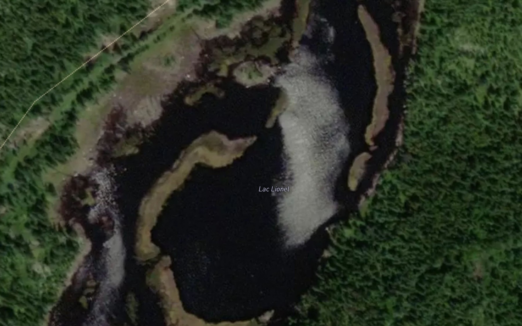 Satellite map of the Lac Lionel