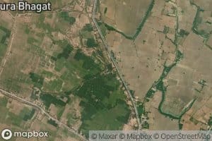 Jagrampura Branch Number Seven