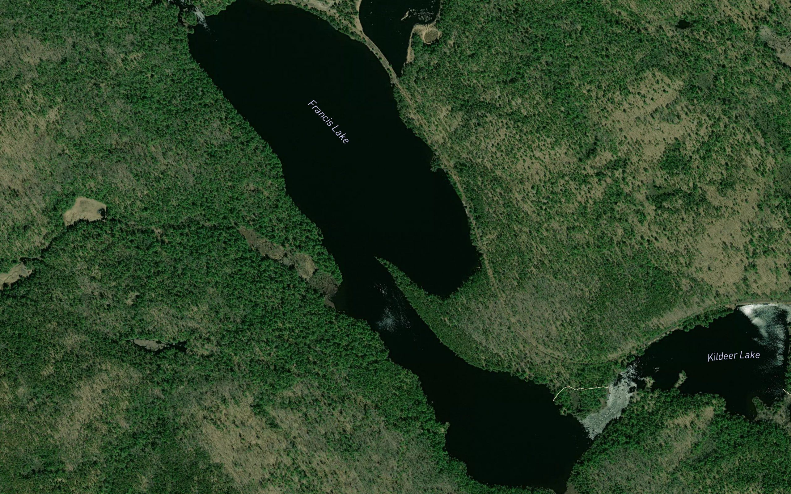 Francis Lake