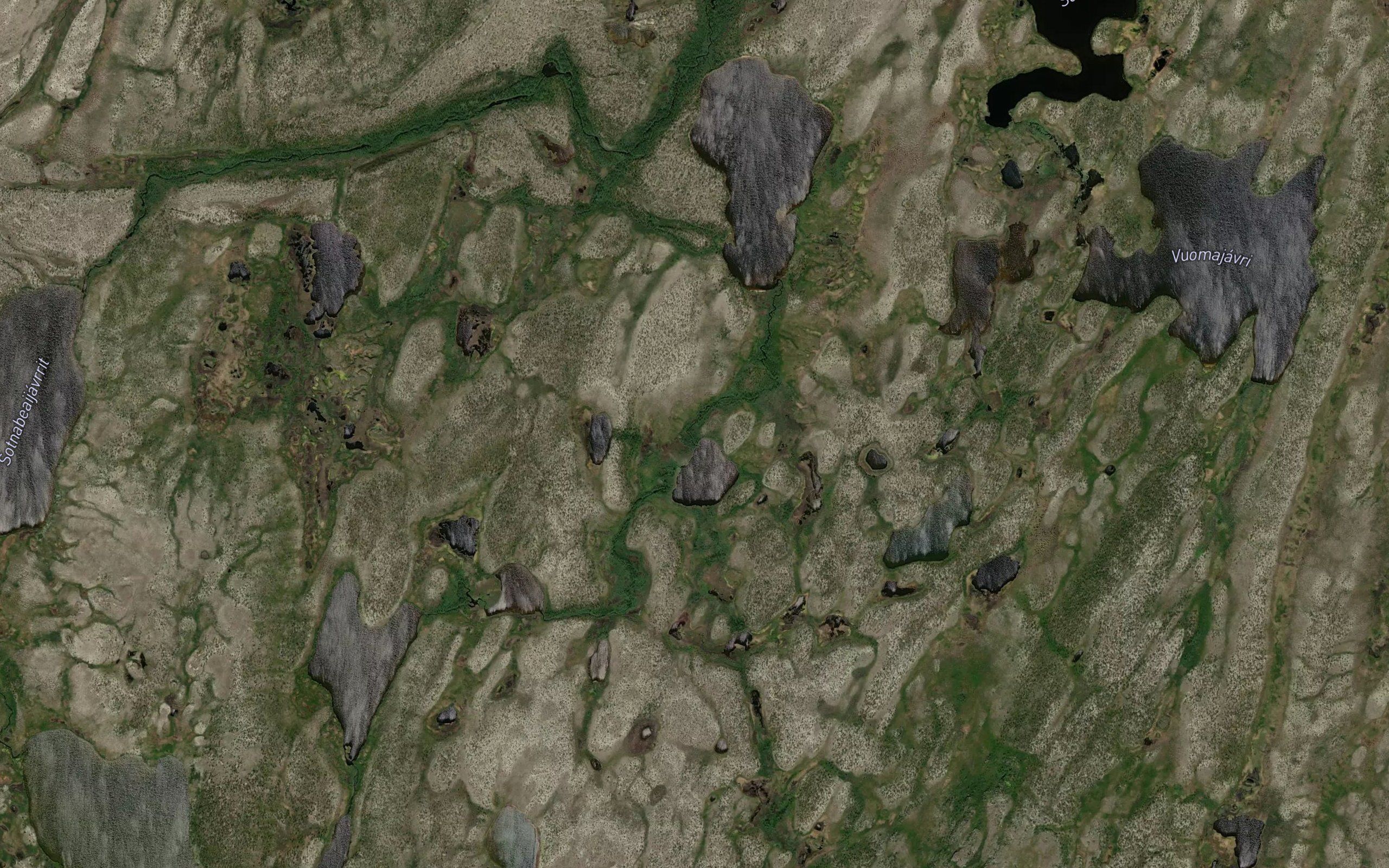 Baktejakka