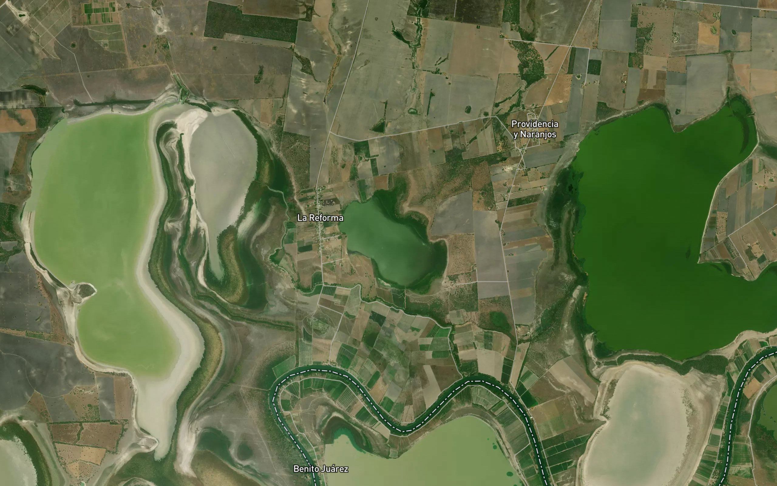 Laguna La Alameda