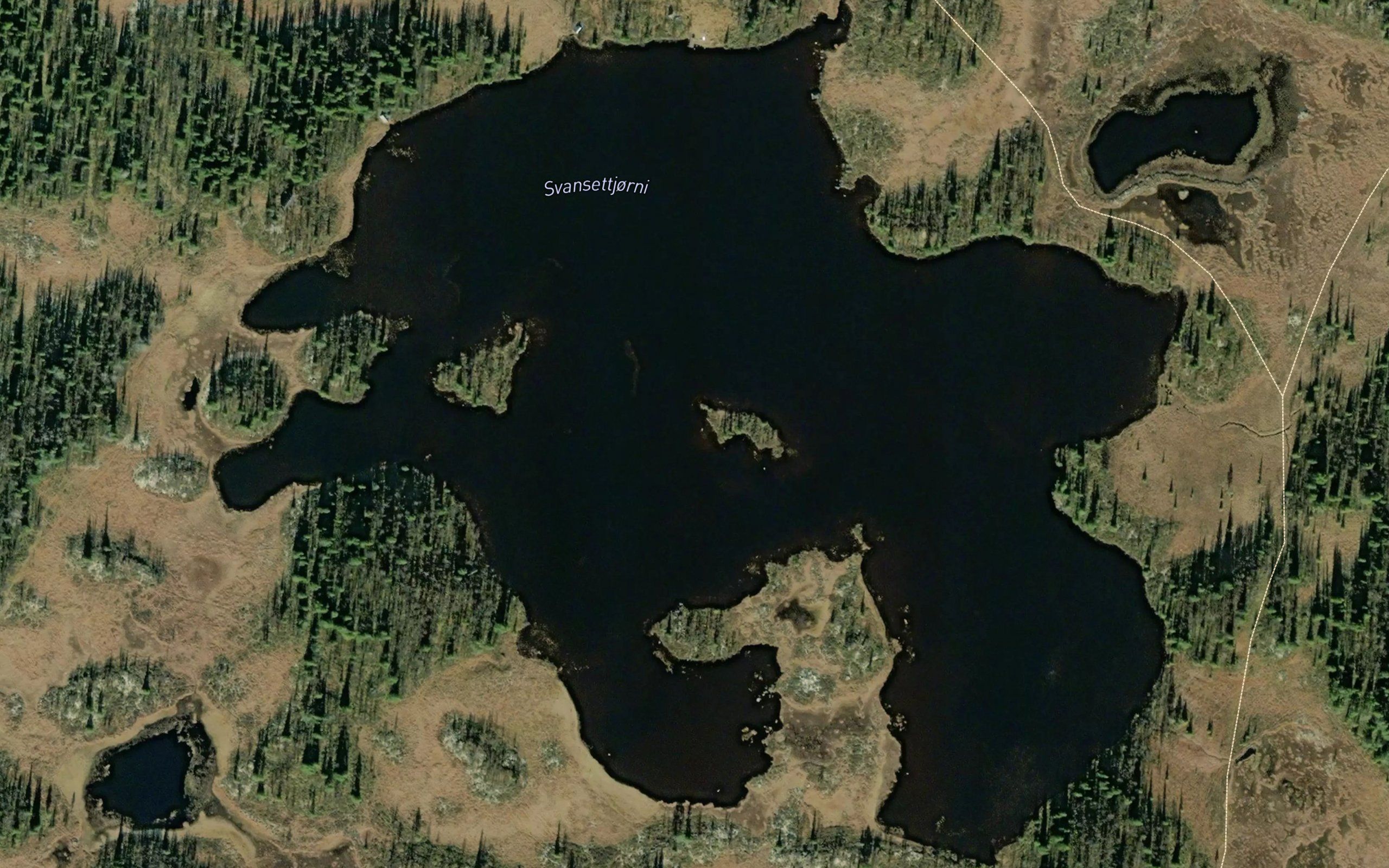 Svansettjorni