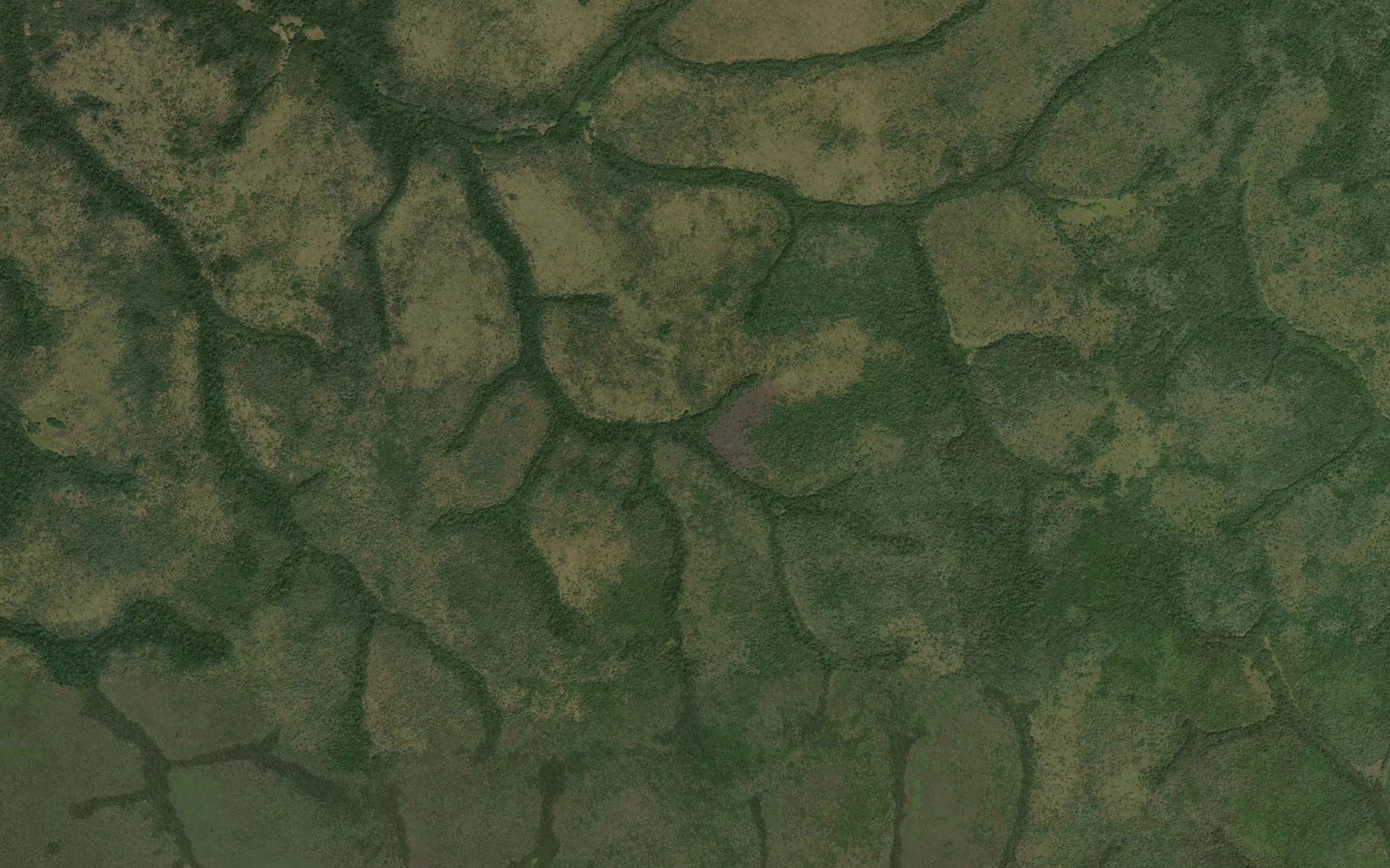 Nabudu