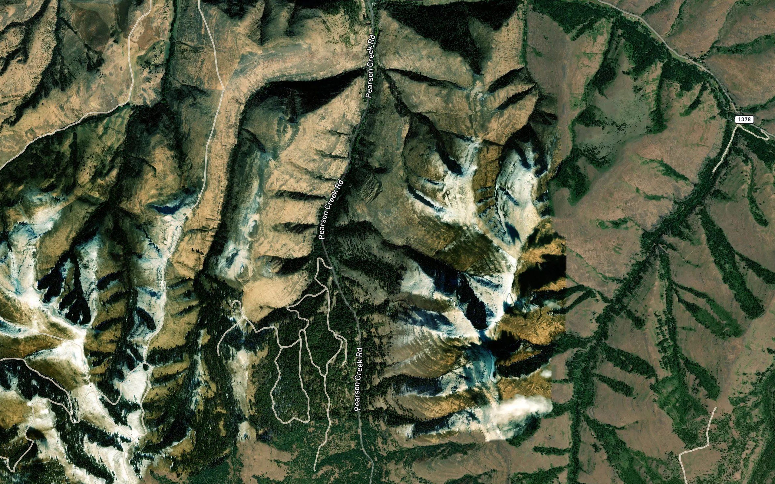 Tamarack Spring