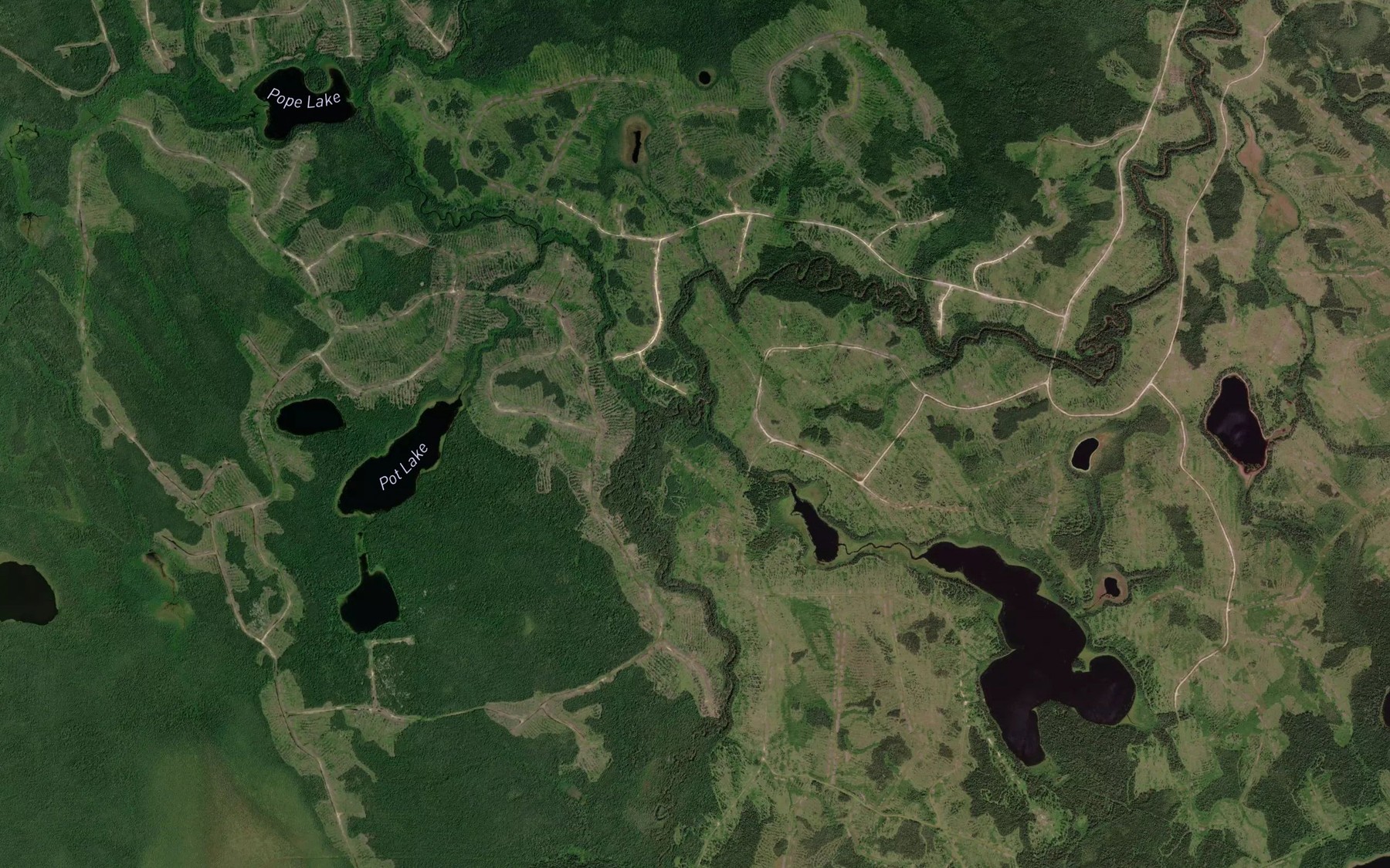 Satellite map of the McFarlan Creek