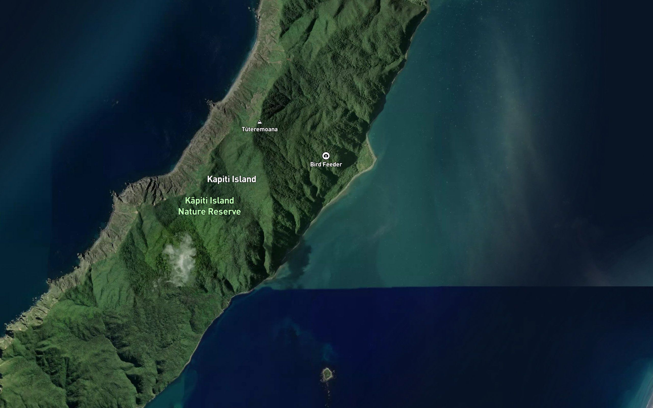 Kahikatea Stream