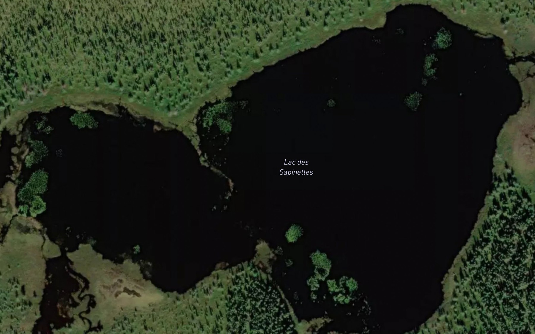 Satellite map of the Lac des Sapinettes