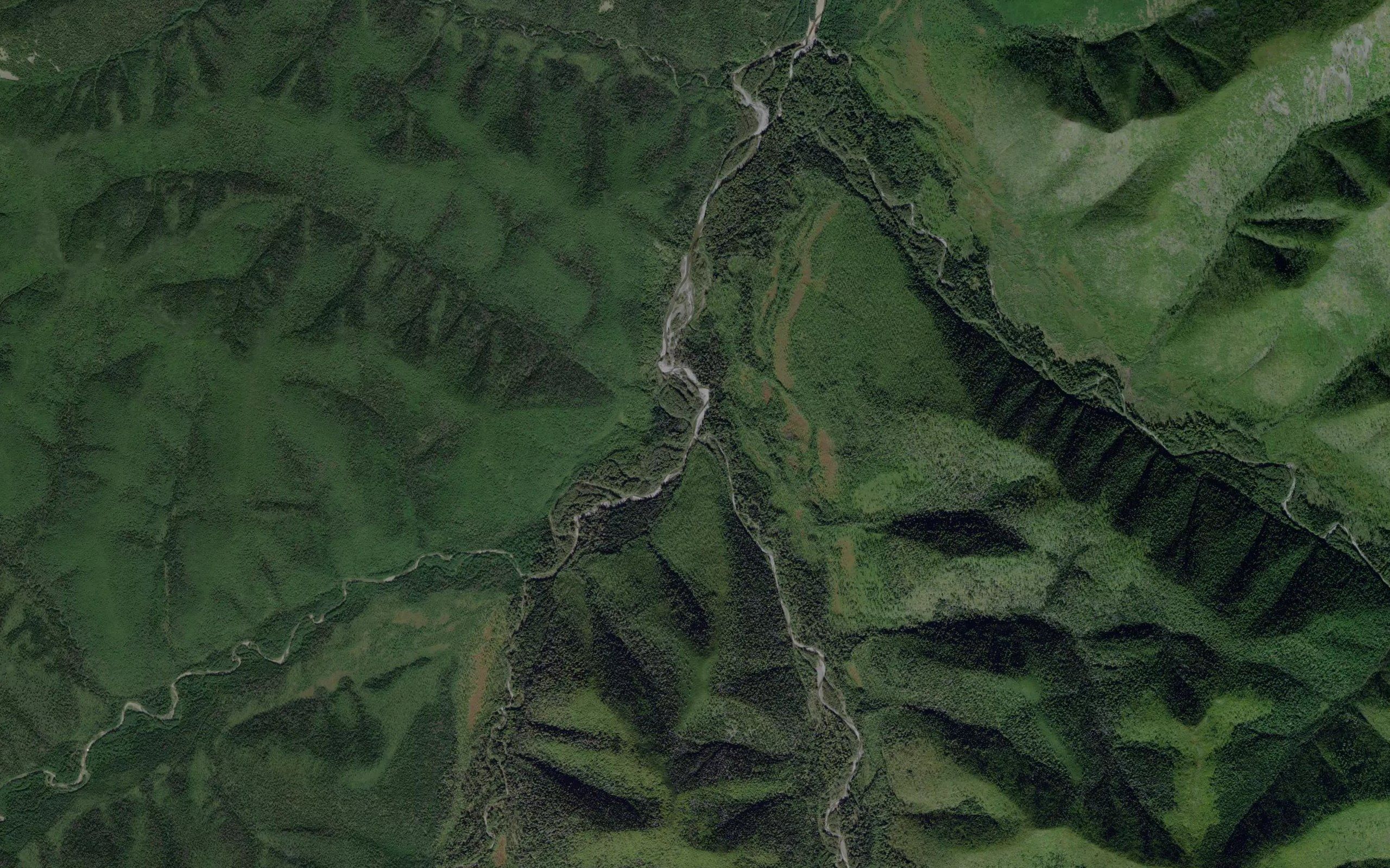 El'ga