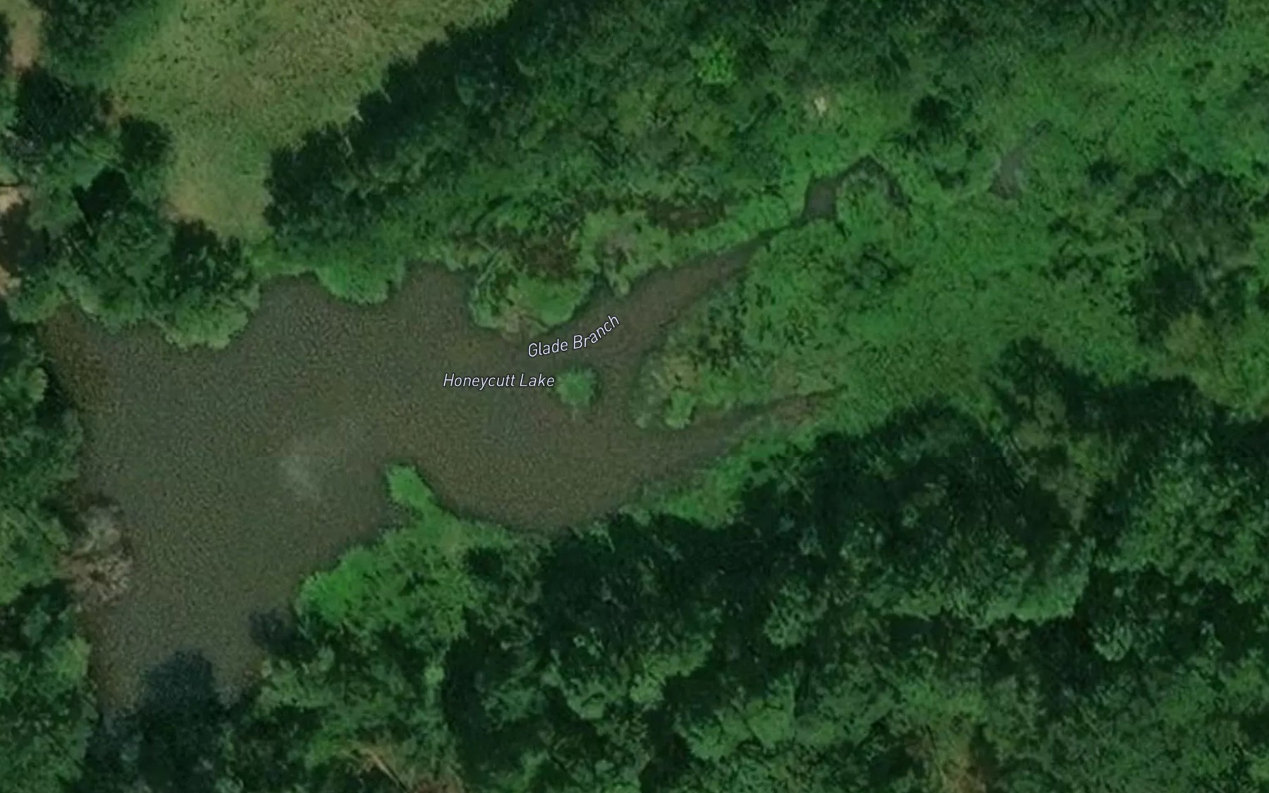 Satellite map of the Honeycutt Lake