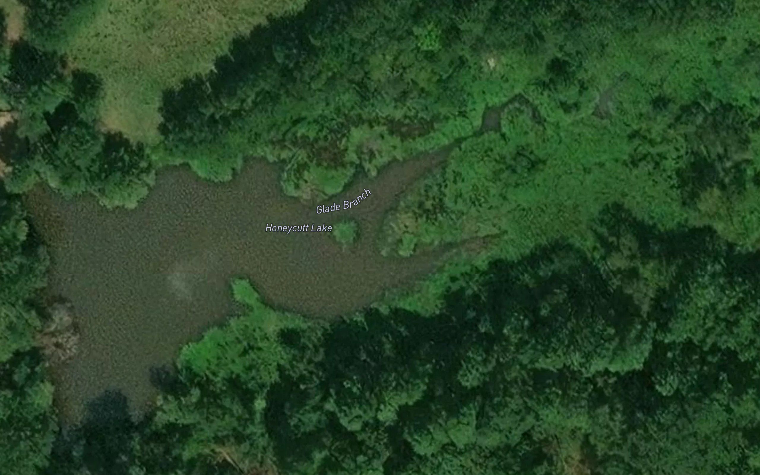 Honeycutt Lake