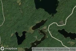 Pollywog Lake