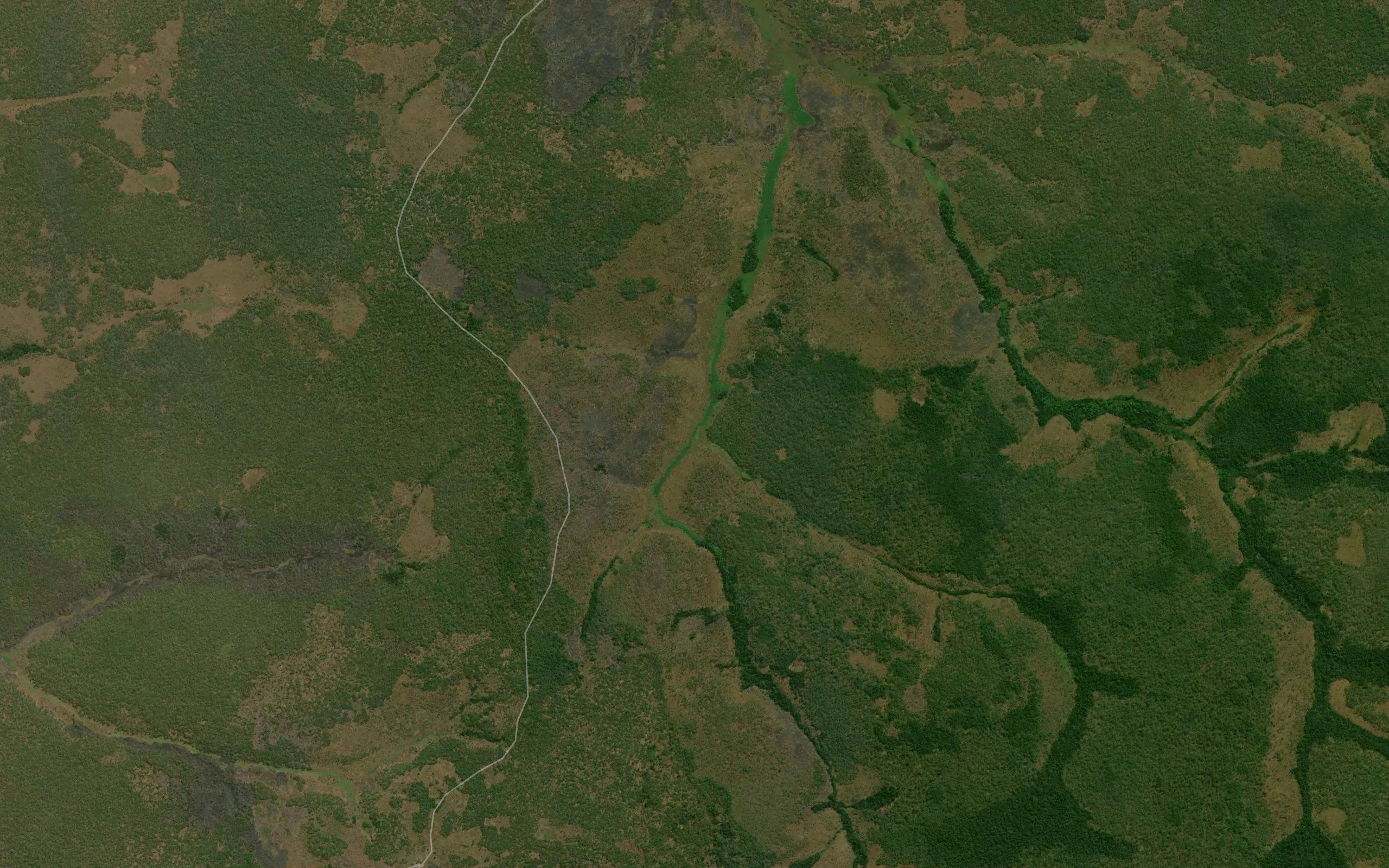 Lengueba