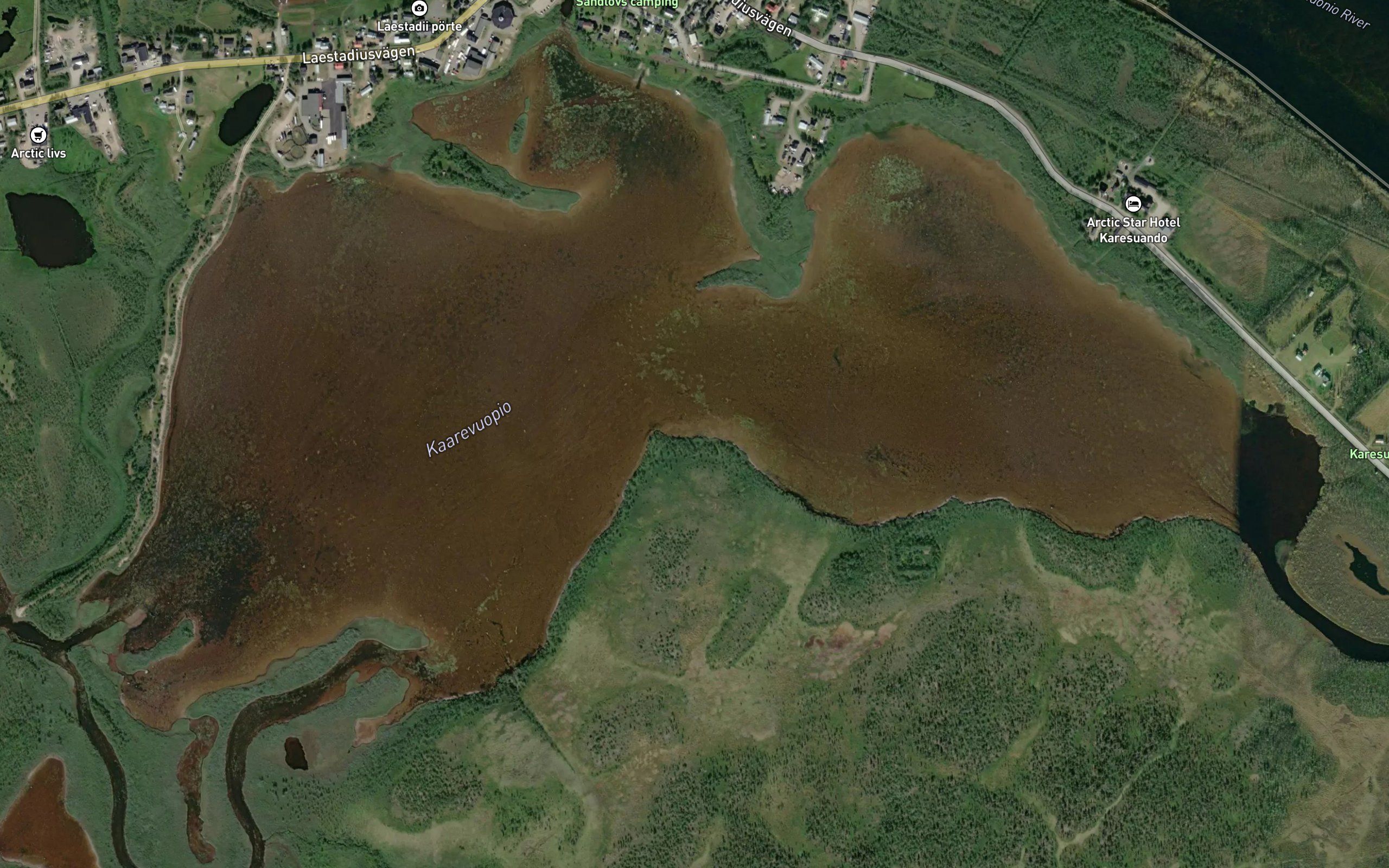 Kaarevuopio