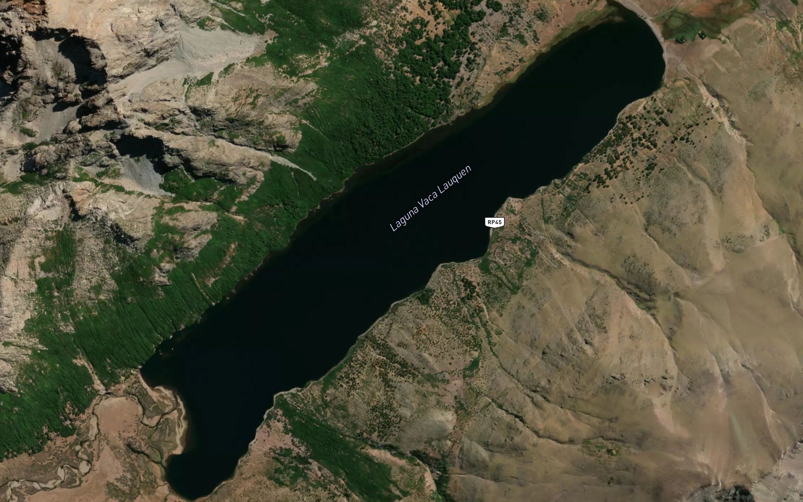 Laguna Vaca Lauquen