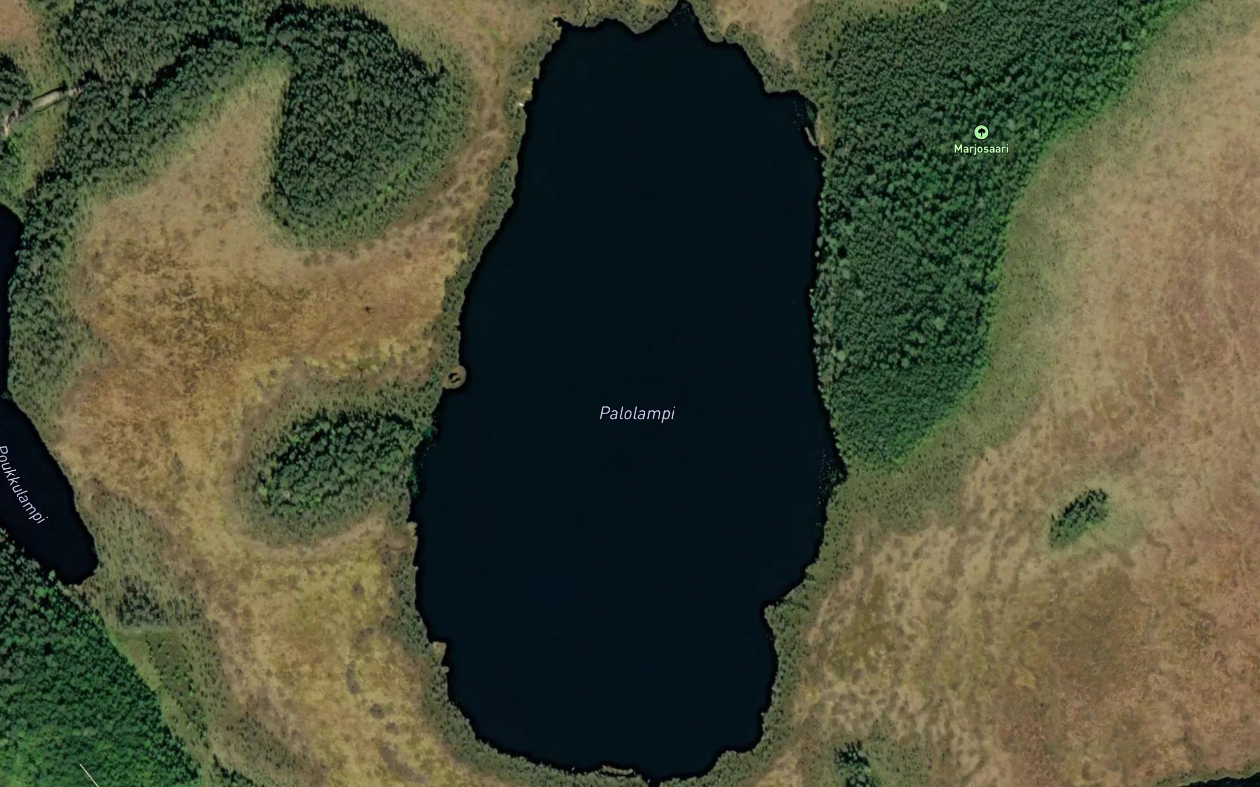 Palolampi