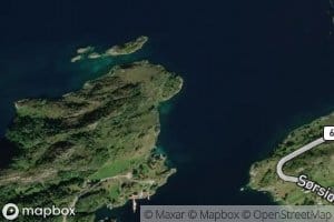 Grisevika