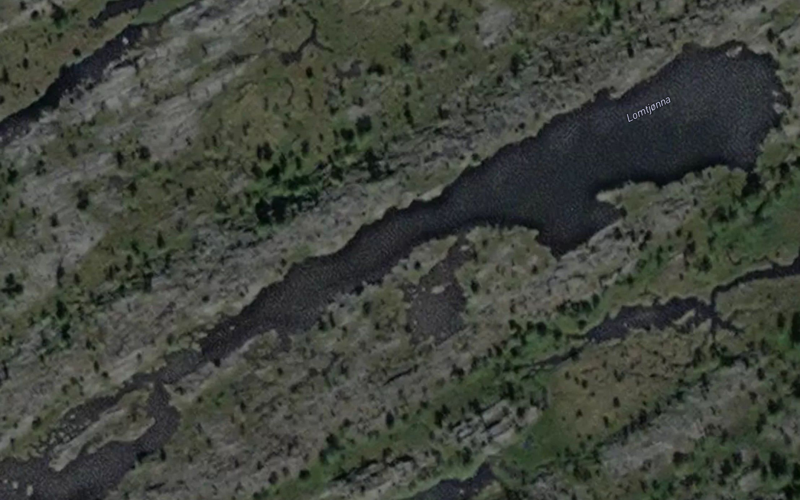 Lomtjonna