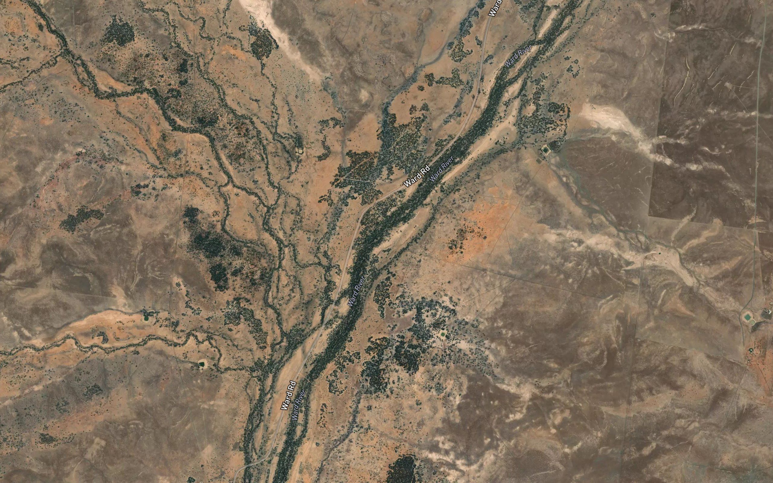 Cattle Creek
