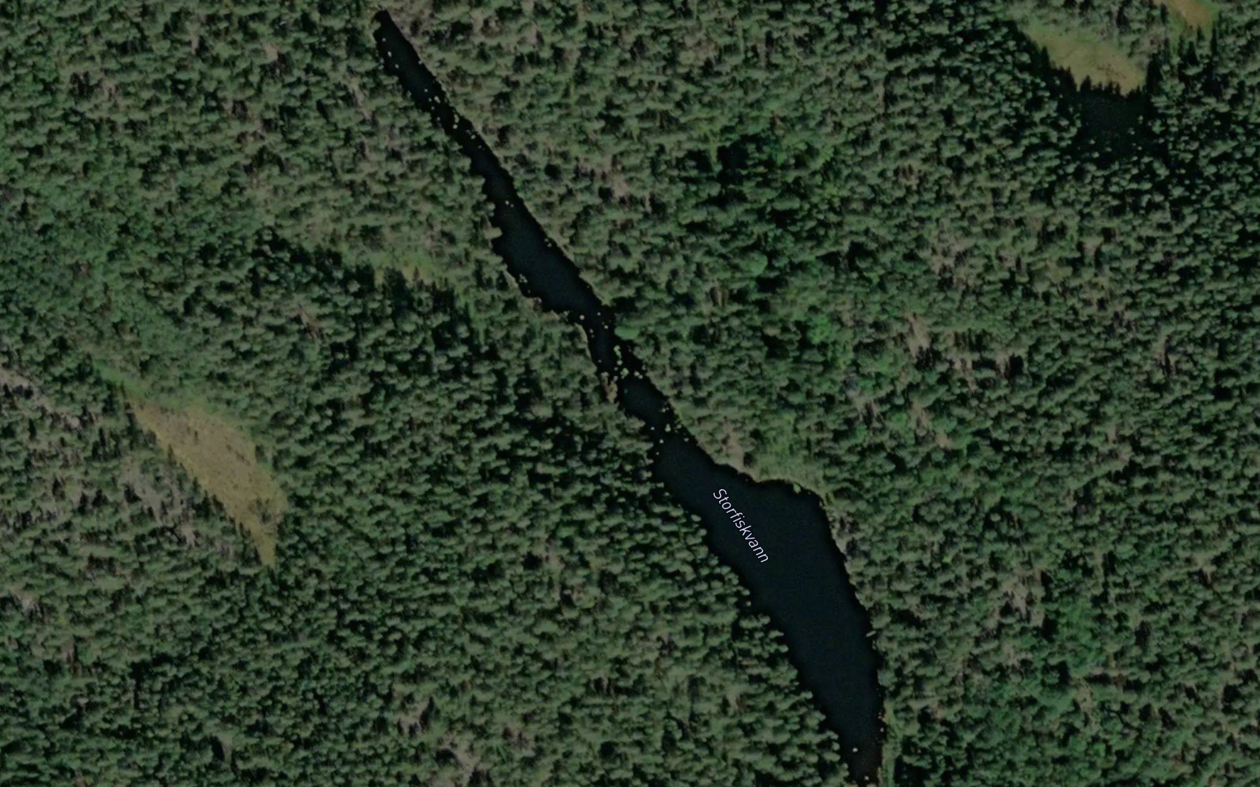 Storfiskvann