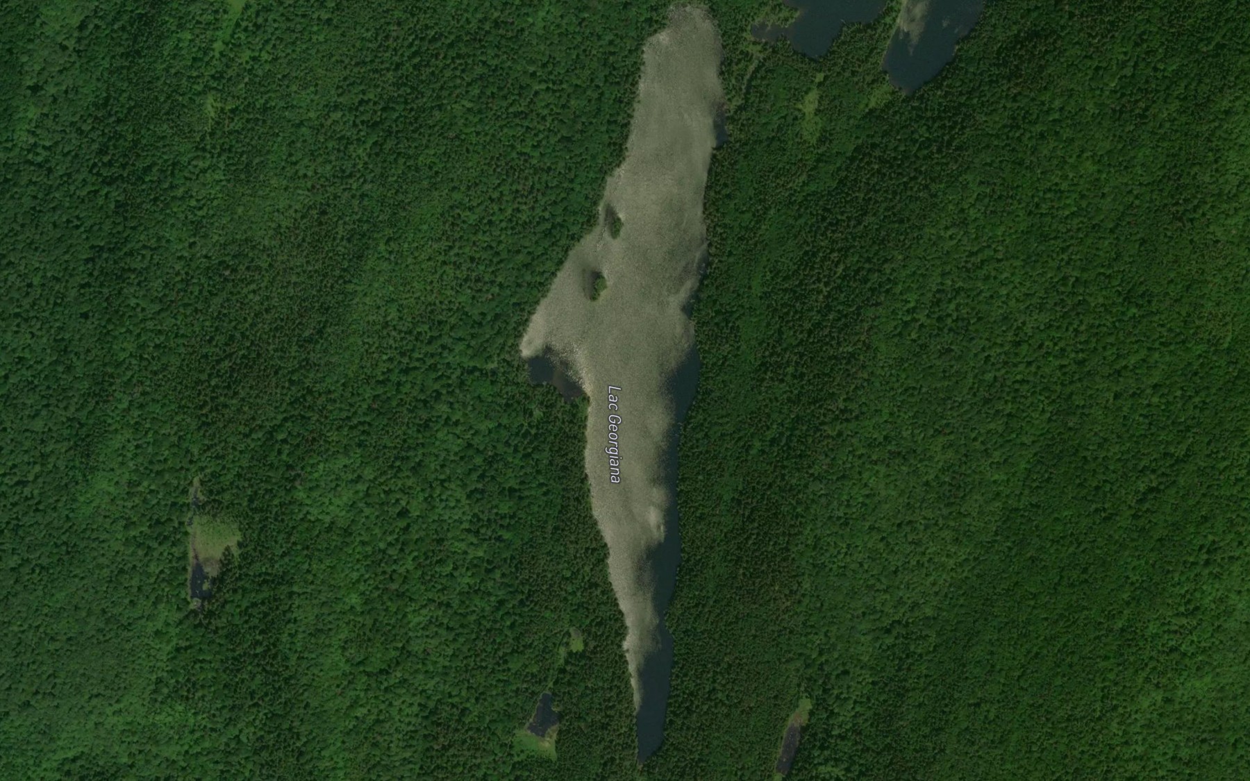 Satellite map of the Lac Georgiana