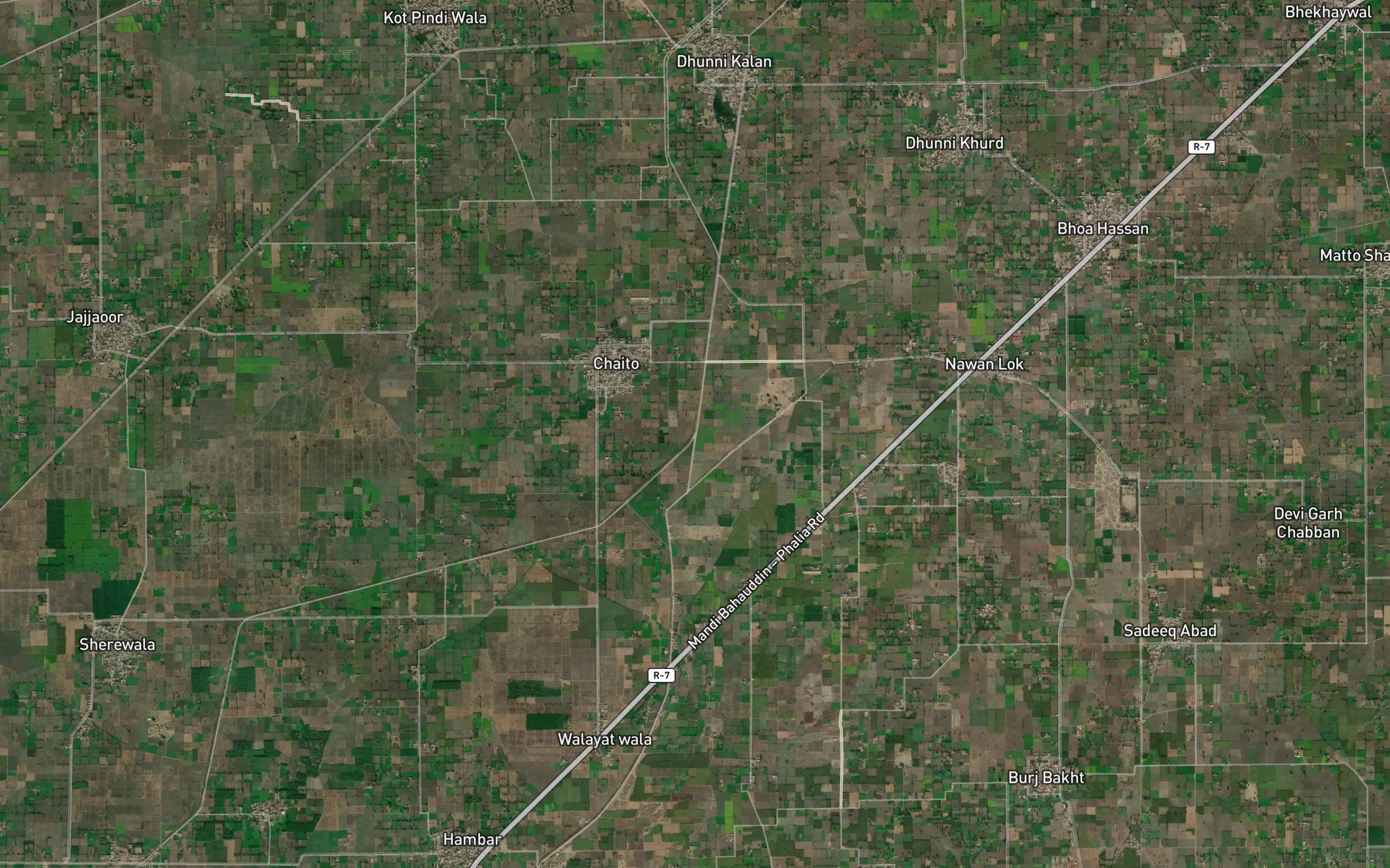 Phalia Distributary