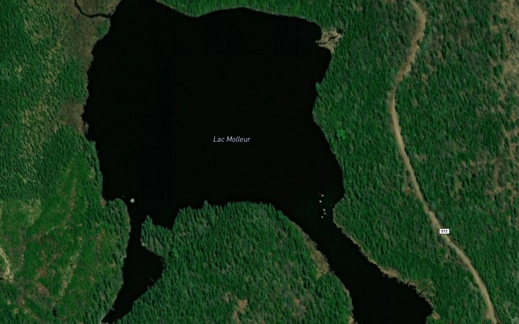 Satellite map of the Lac Molleur
