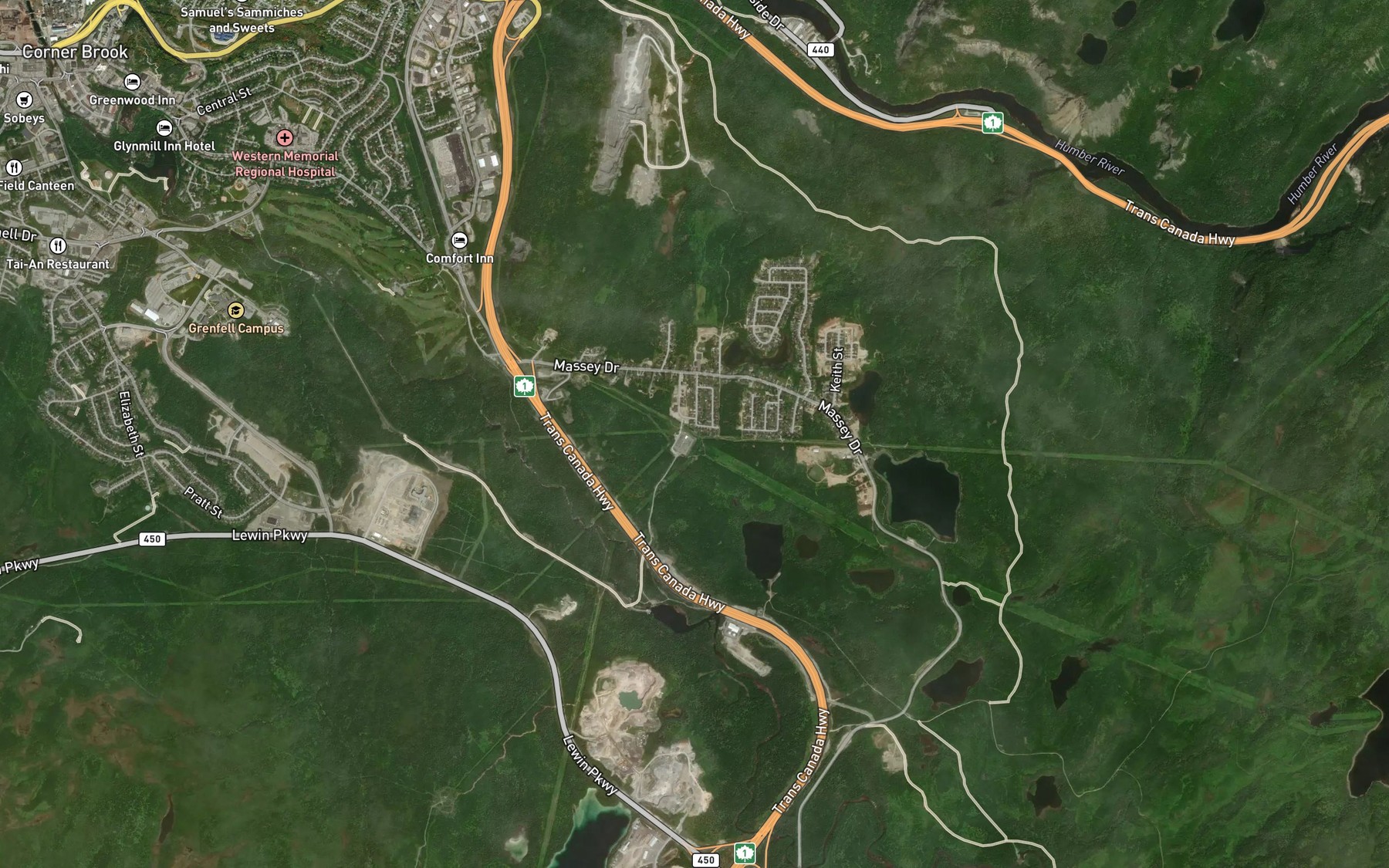 Satellite map of the Trout Pond