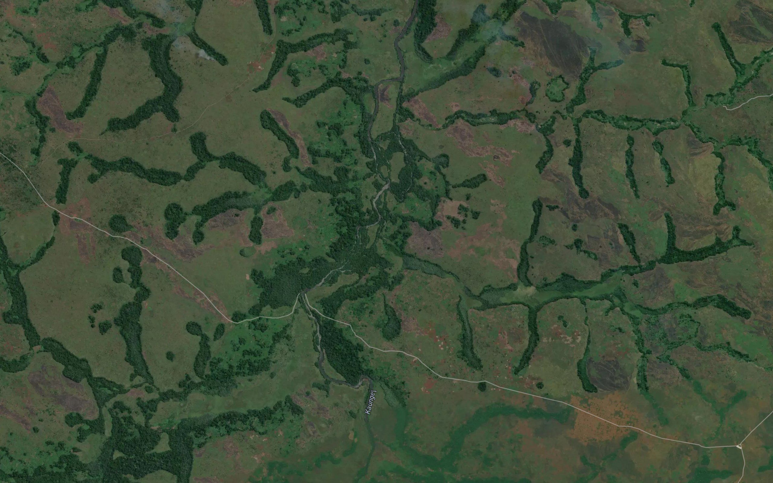 Mukungweji