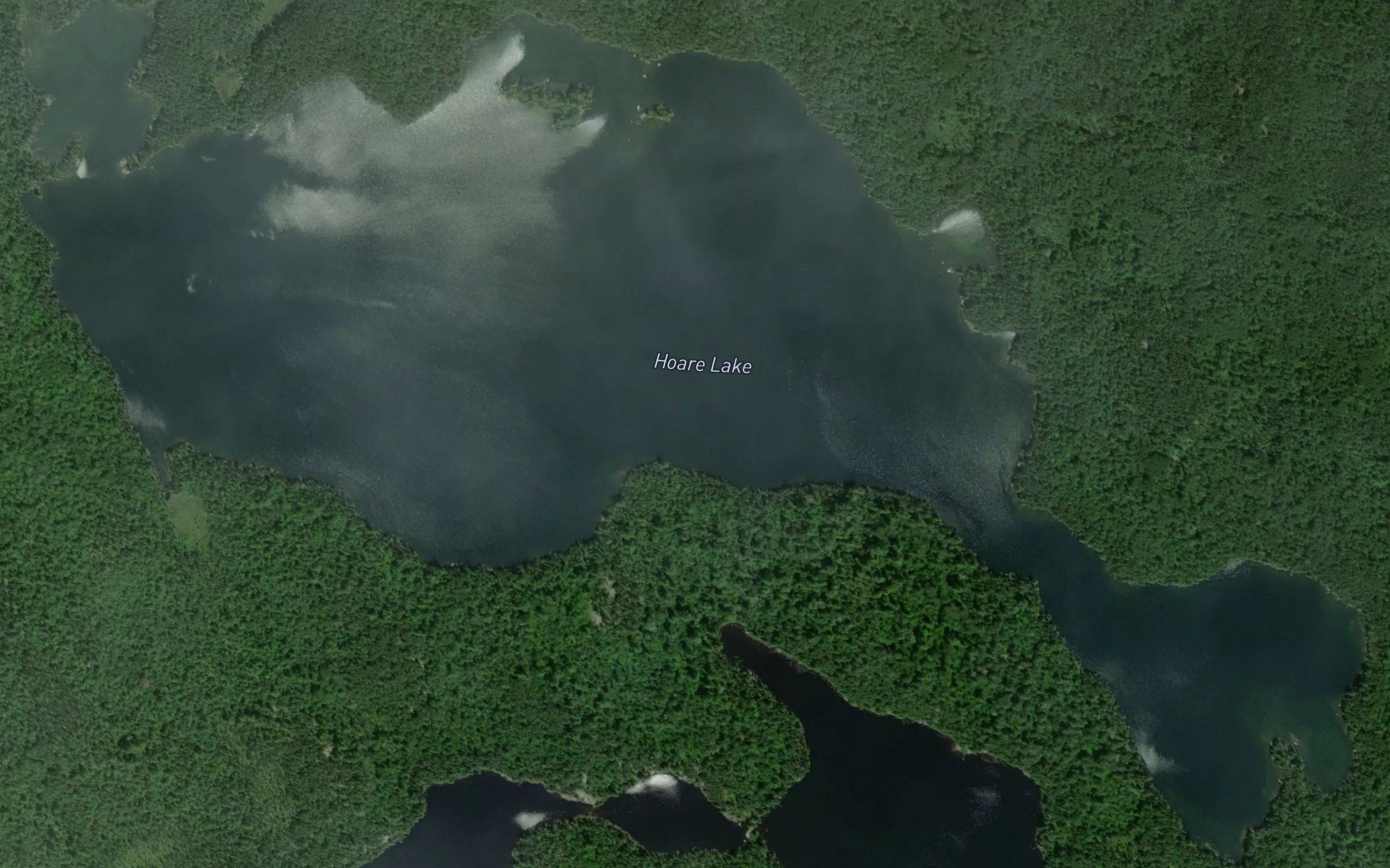 Hoare Lake