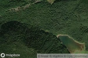 Flapper Springs