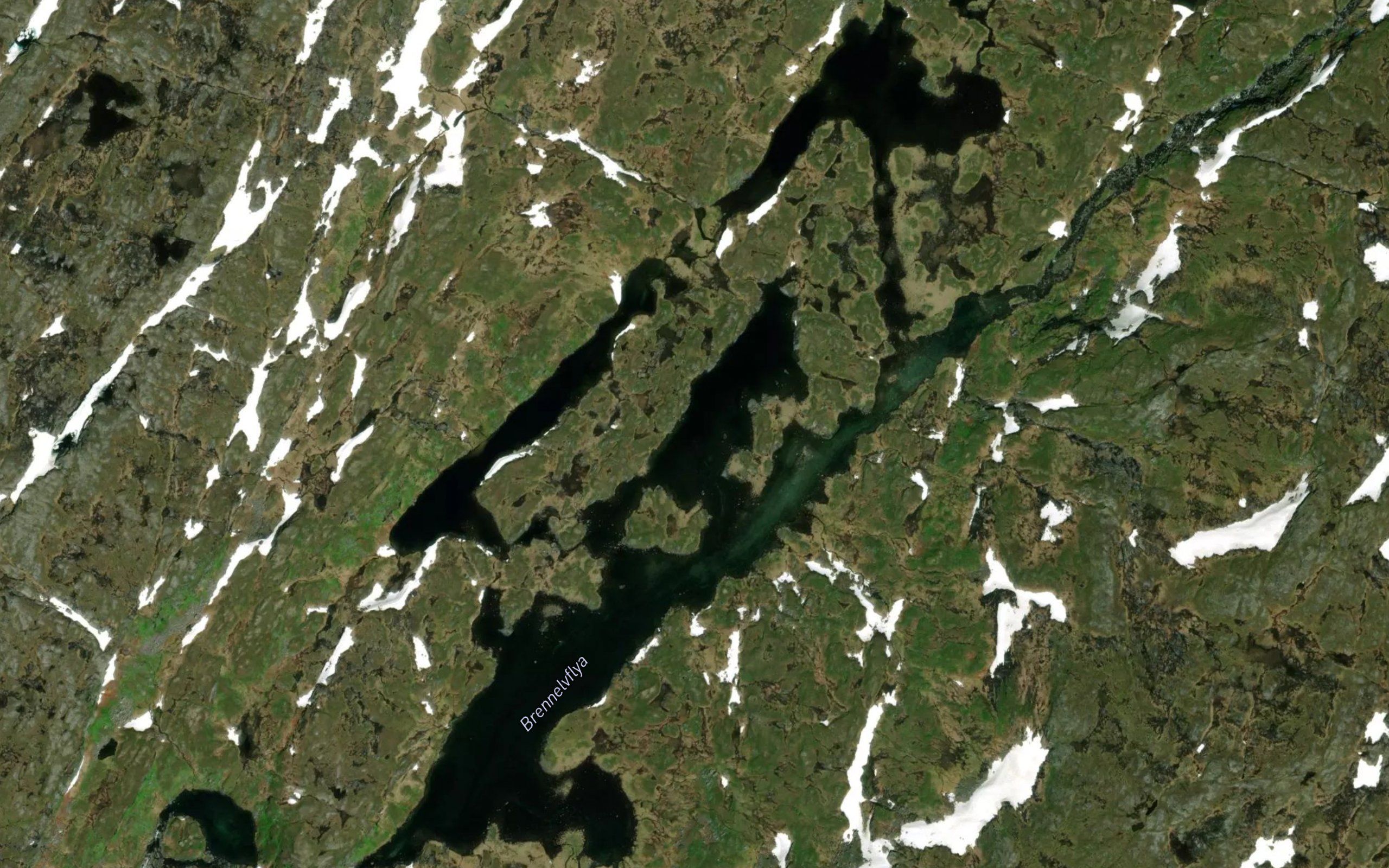 Brennelvflya