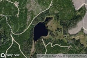 Curtis Lake